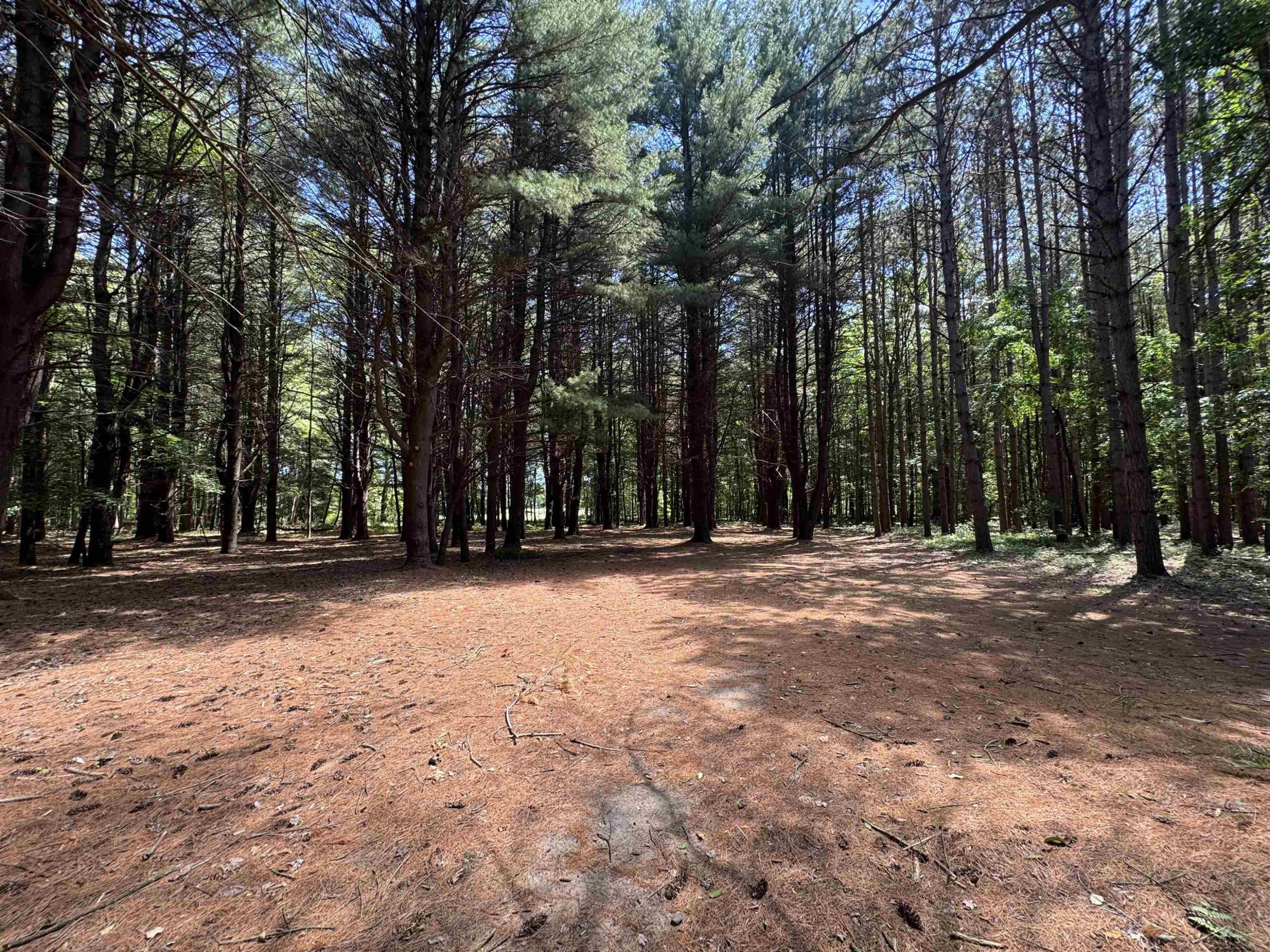 S Fenmore Road, Merrill, MI 48637 — Photo 24