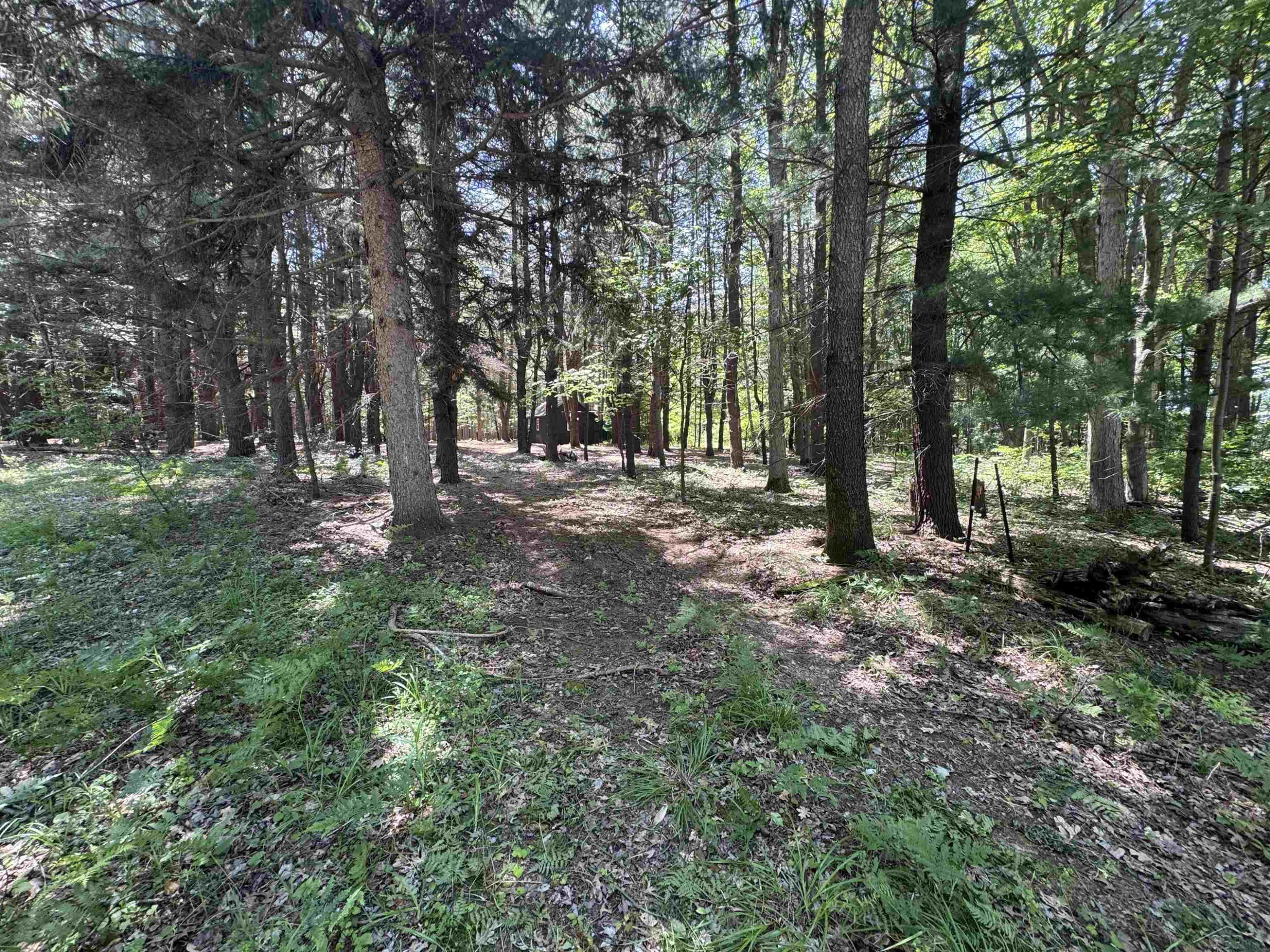 S Fenmore Road, Merrill, MI 48637 — Photo 25