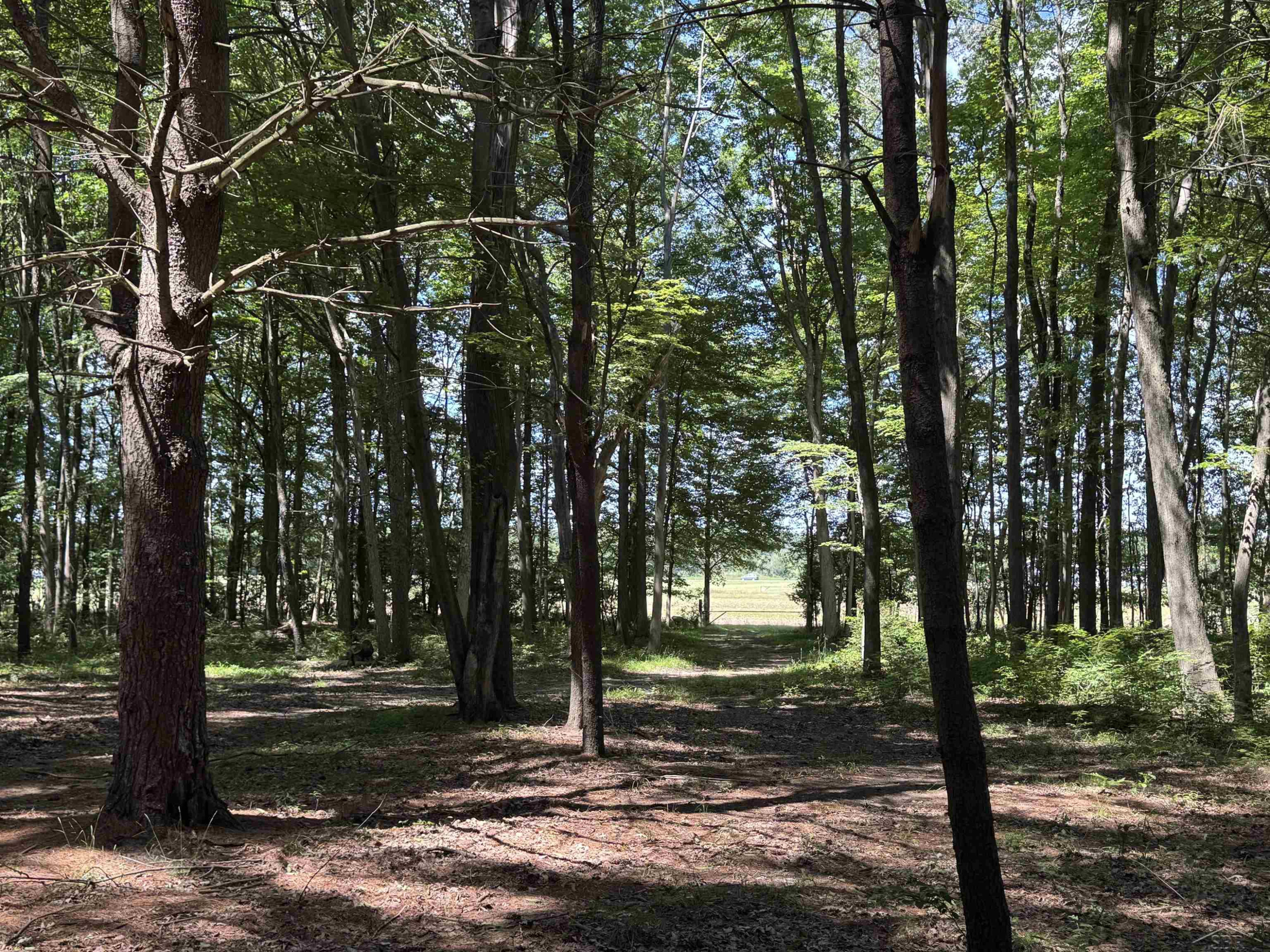 S Fenmore Road, Merrill, MI 48637 — Photo 28