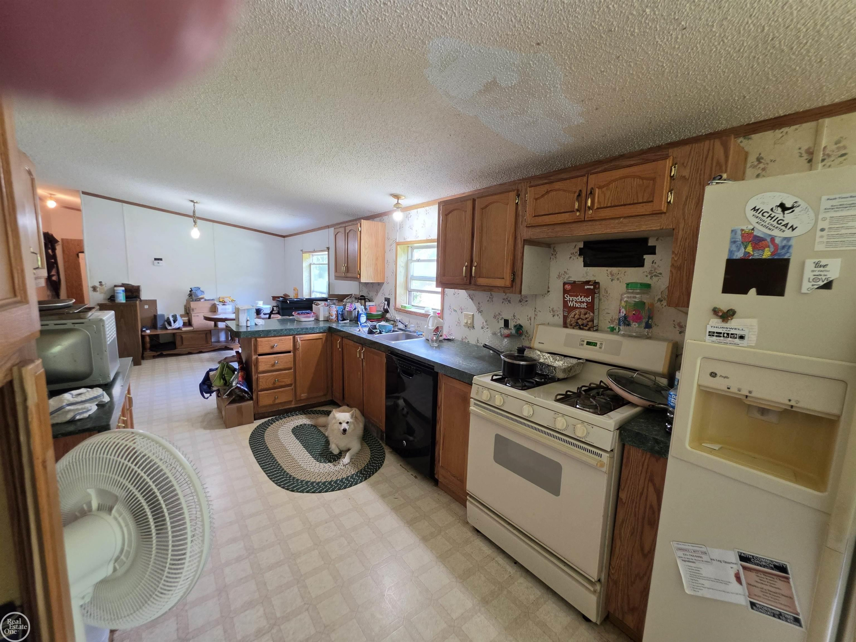 6316 W 18 Road, Mesick, MI 49668 — Photo 9