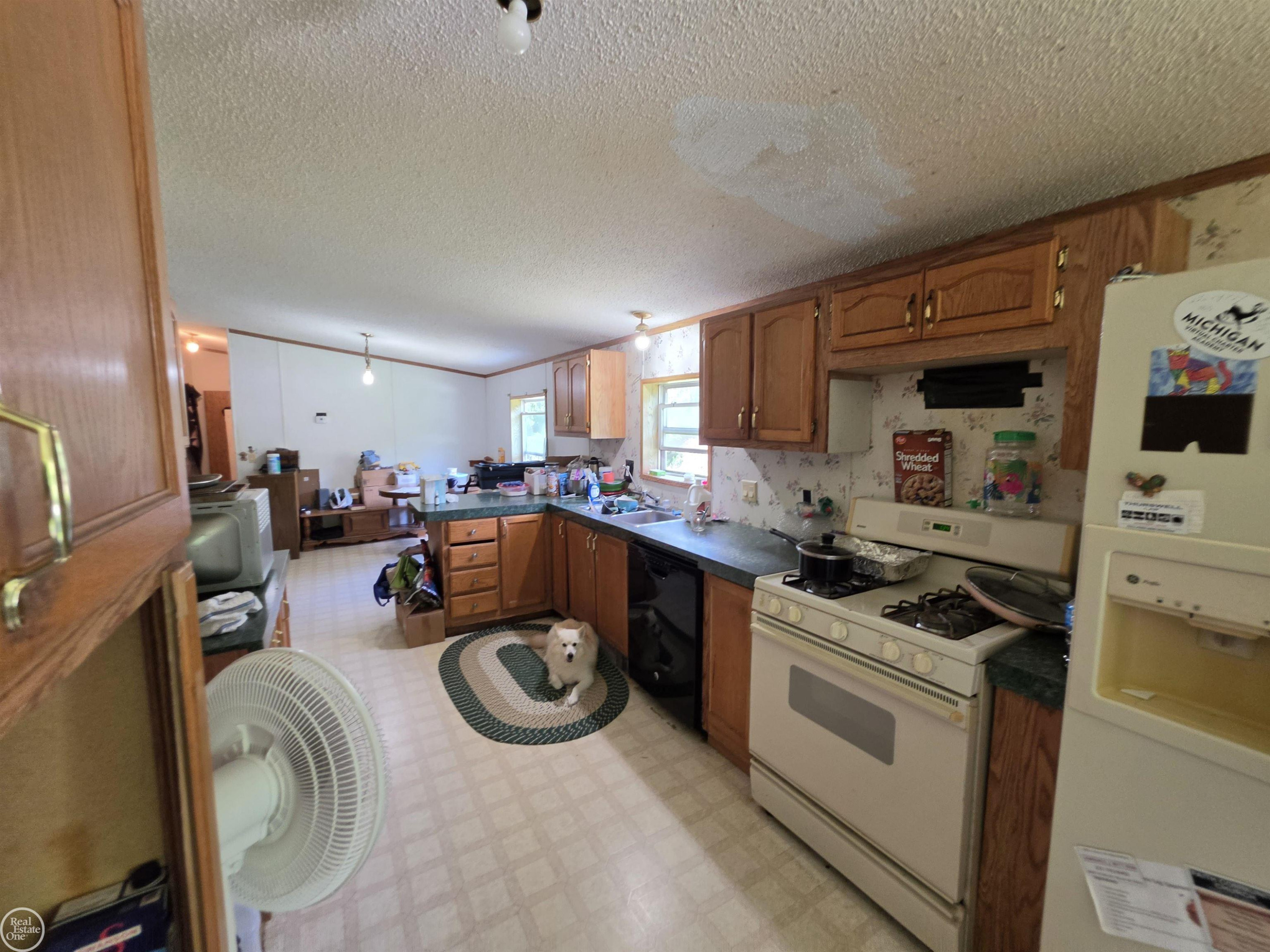 6316 W 18 Road, Mesick, MI 49668 — Photo 10