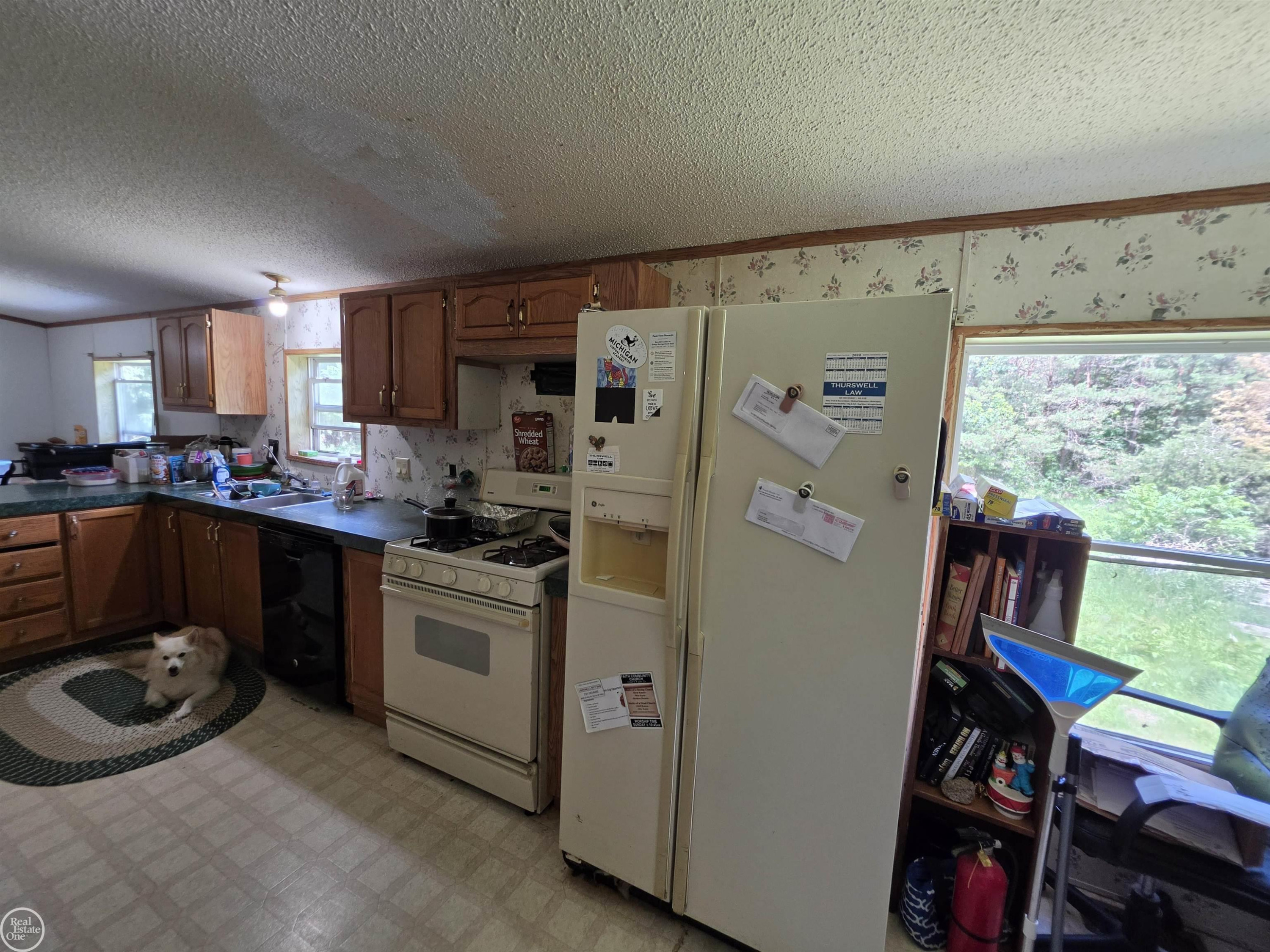 6316 W 18 Road, Mesick, MI 49668 — Photo 14