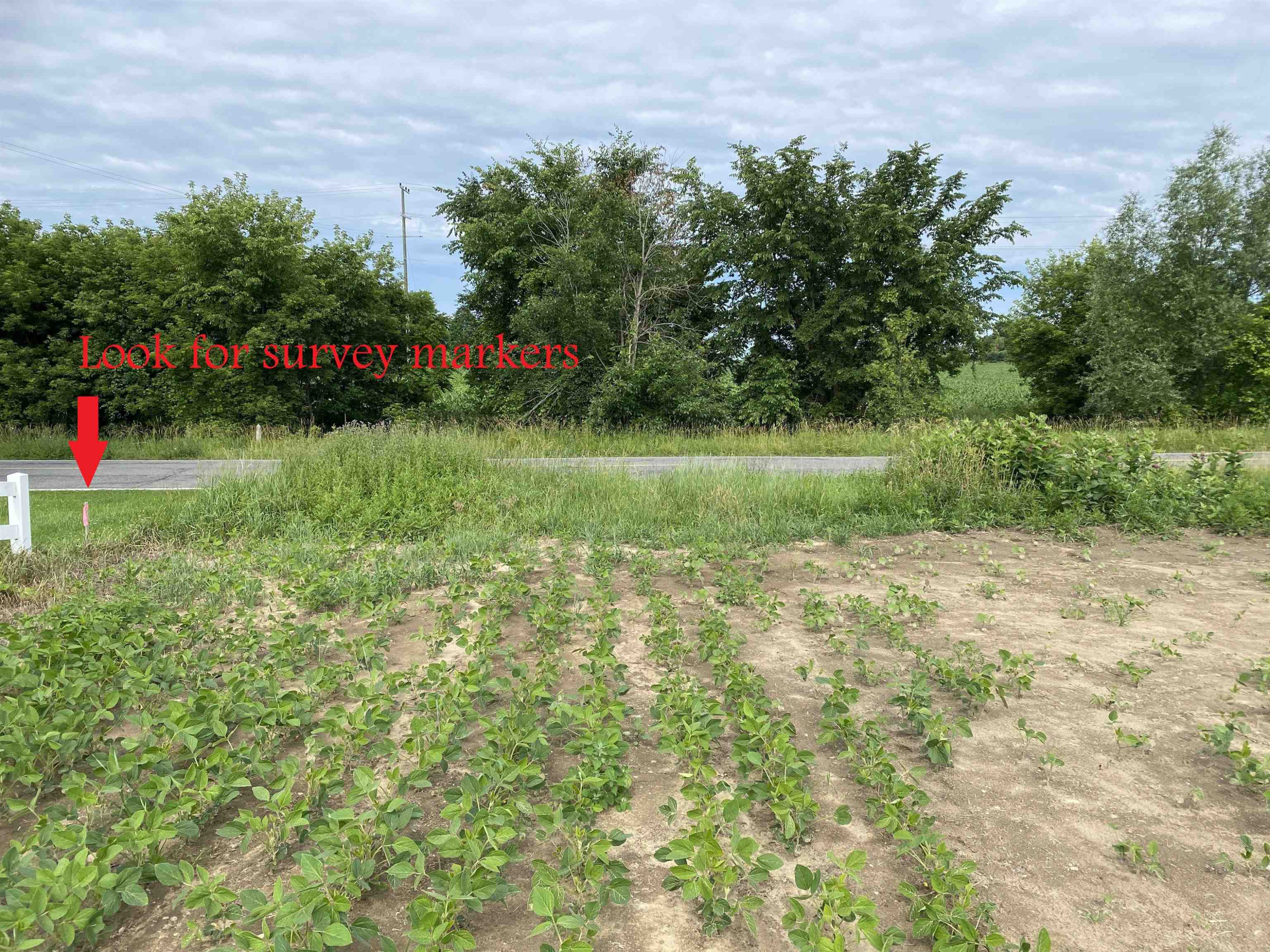 0 Elm (Parcel B) Road, Webberville, MI 48892 — Photo 6