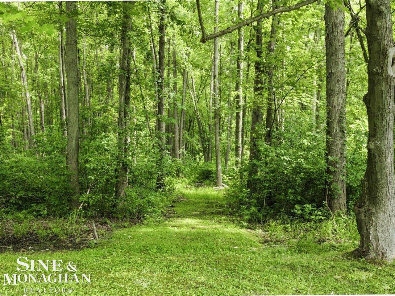 9211 Folkert Road, Algonac, MI 48001 — Photo 11