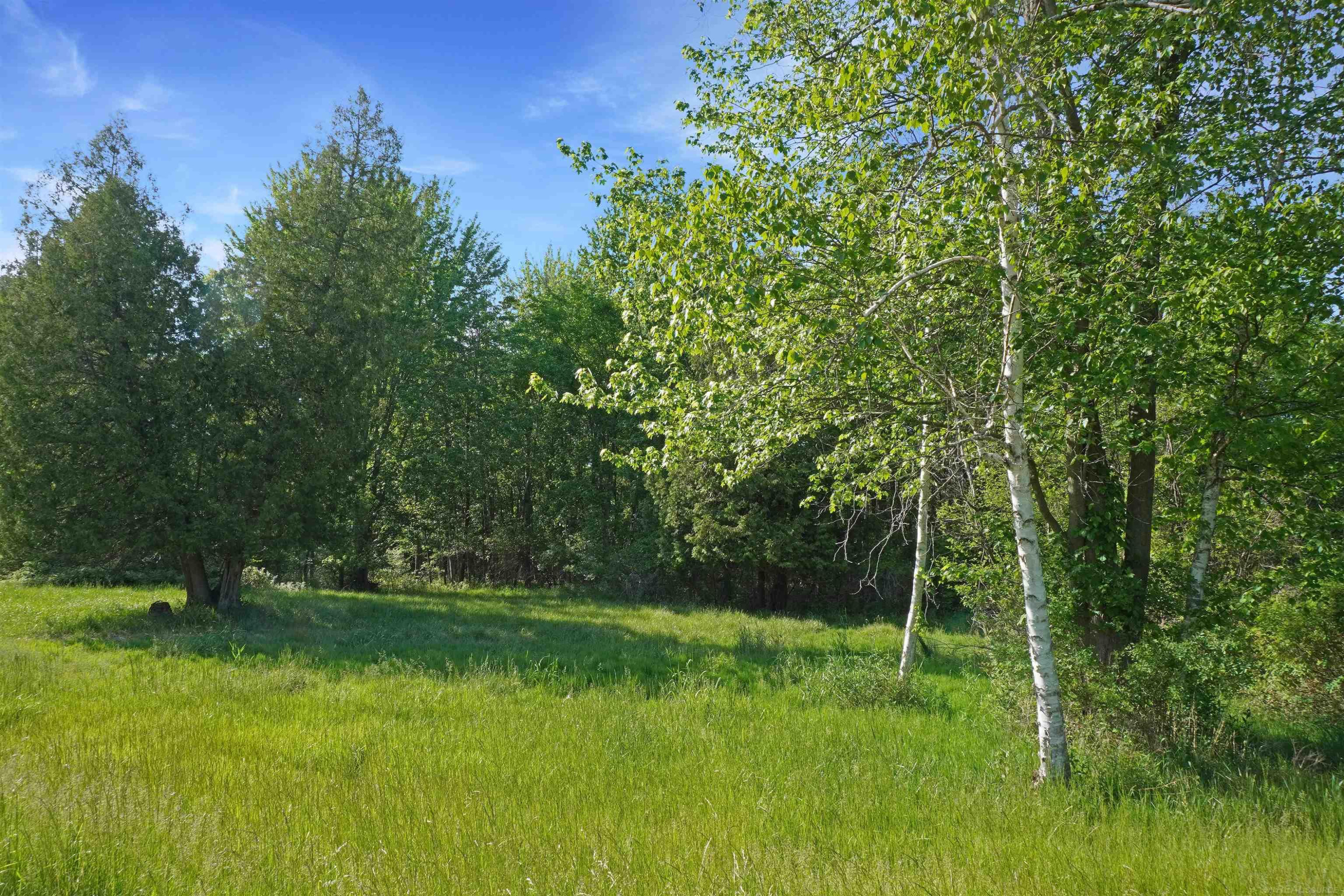 1385 N Blacks Corners Road, Imlay City, MI 48444 — Photo 21