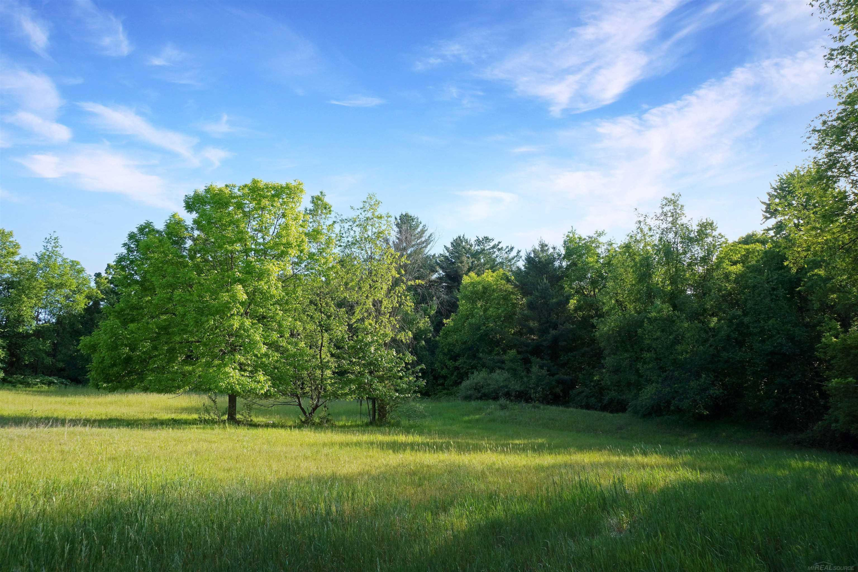 1385 N Blacks Corners Road, Imlay City, MI 48444 — Photo 25