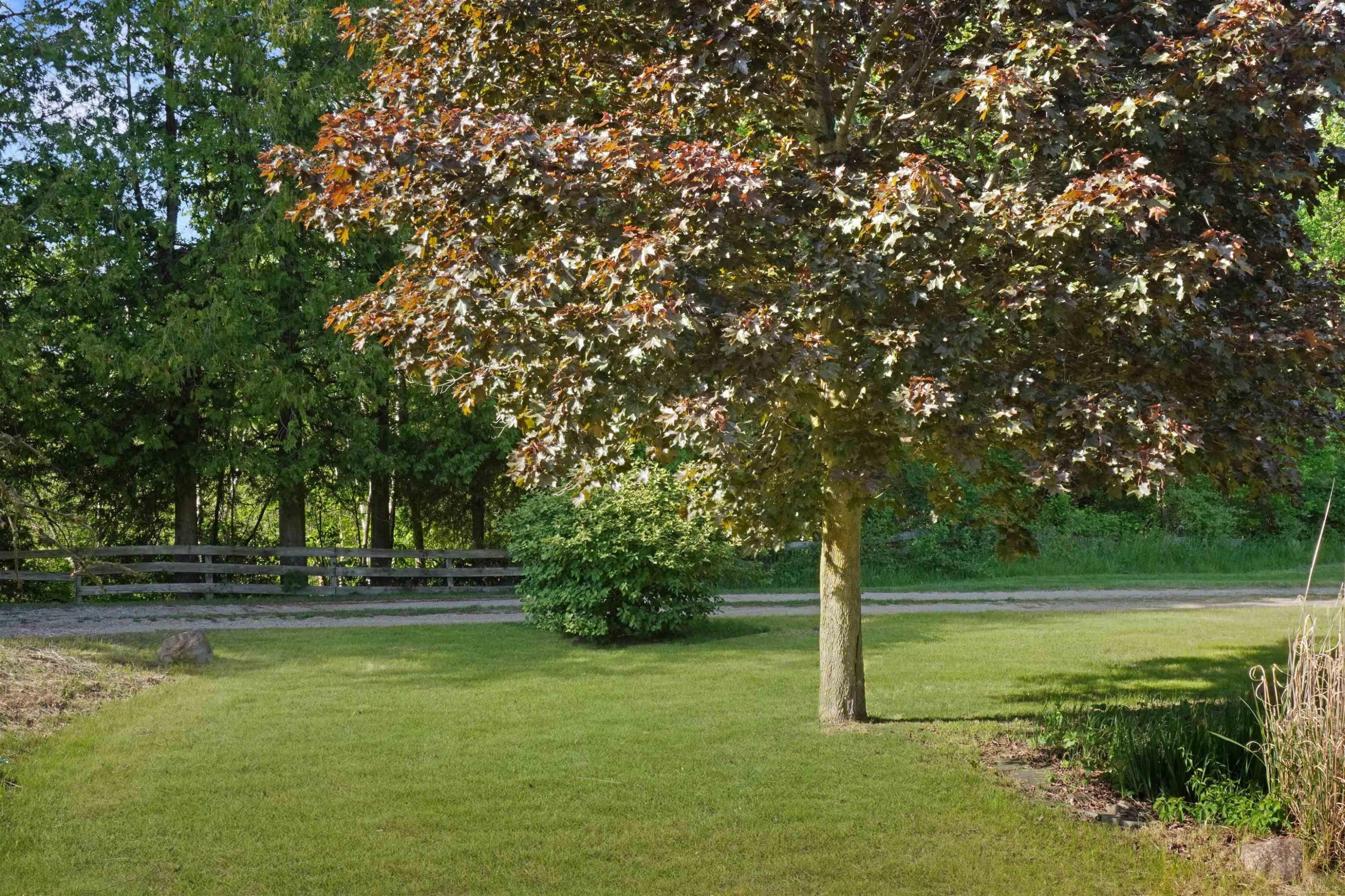 1385 N Blacks Corners Road, Imlay City, MI 48444 — Photo 38