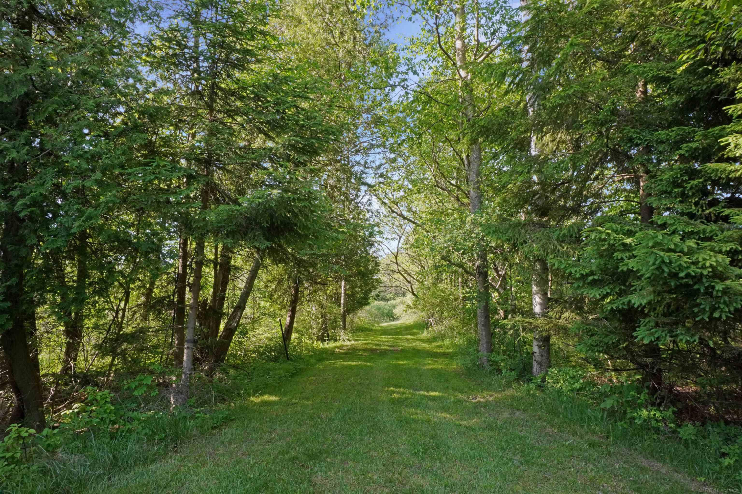 1385 N Blacks Corners Road, Imlay City, MI 48444 — Photo 40