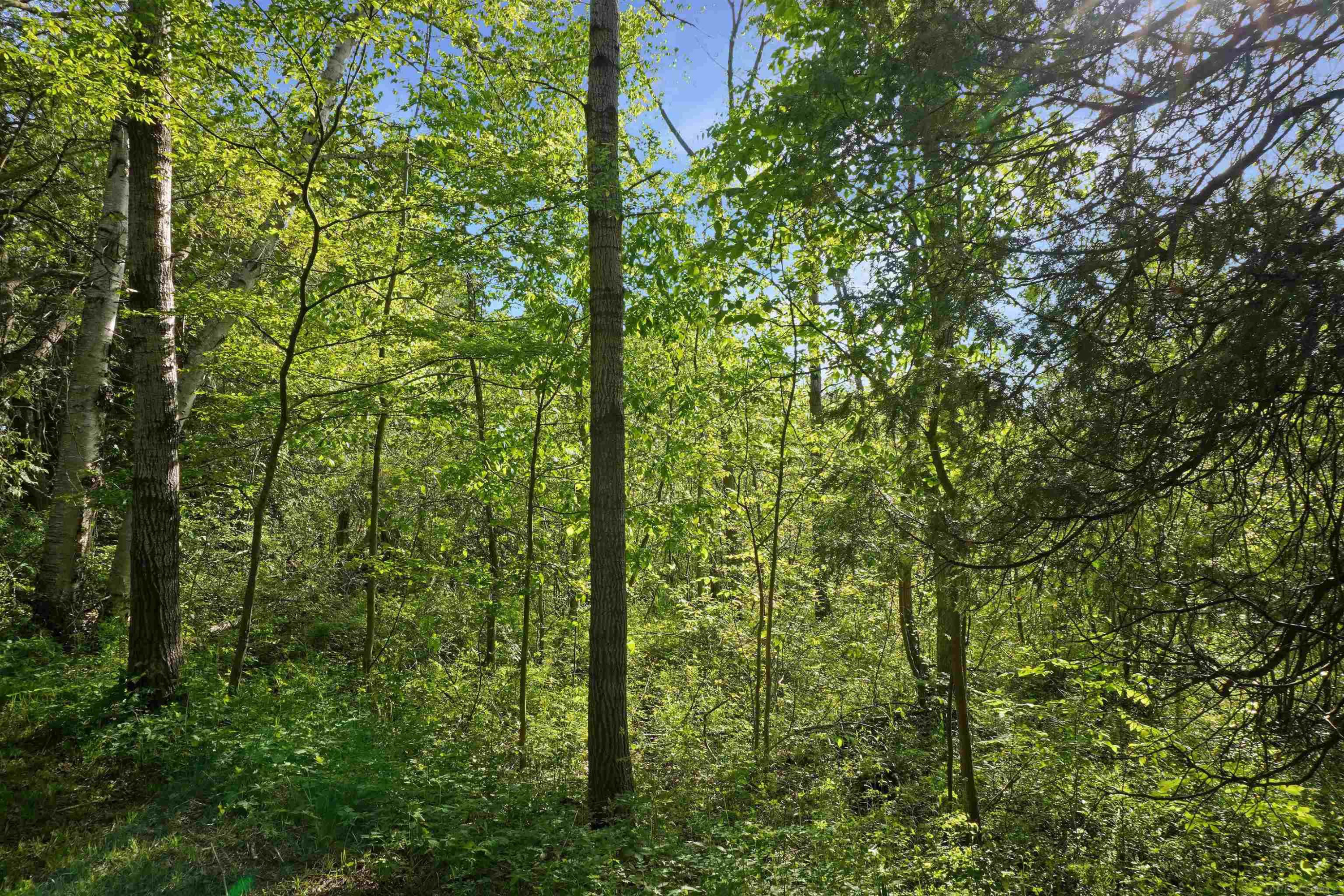 1385 N Blacks Corners Road, Imlay City, MI 48444 — Photo 42