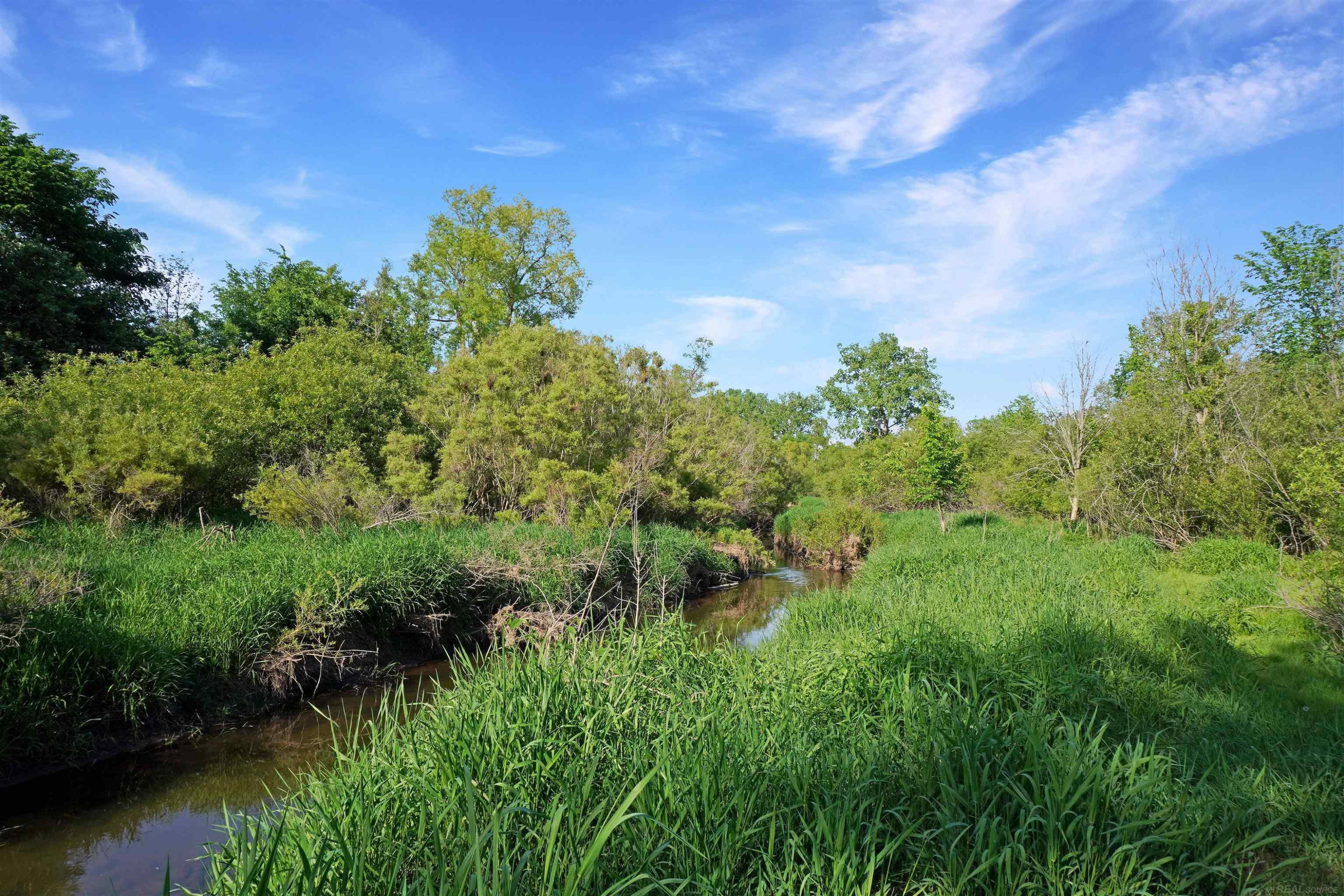 1385 N Blacks Corners Road, Imlay City, MI 48444 — Photo 43