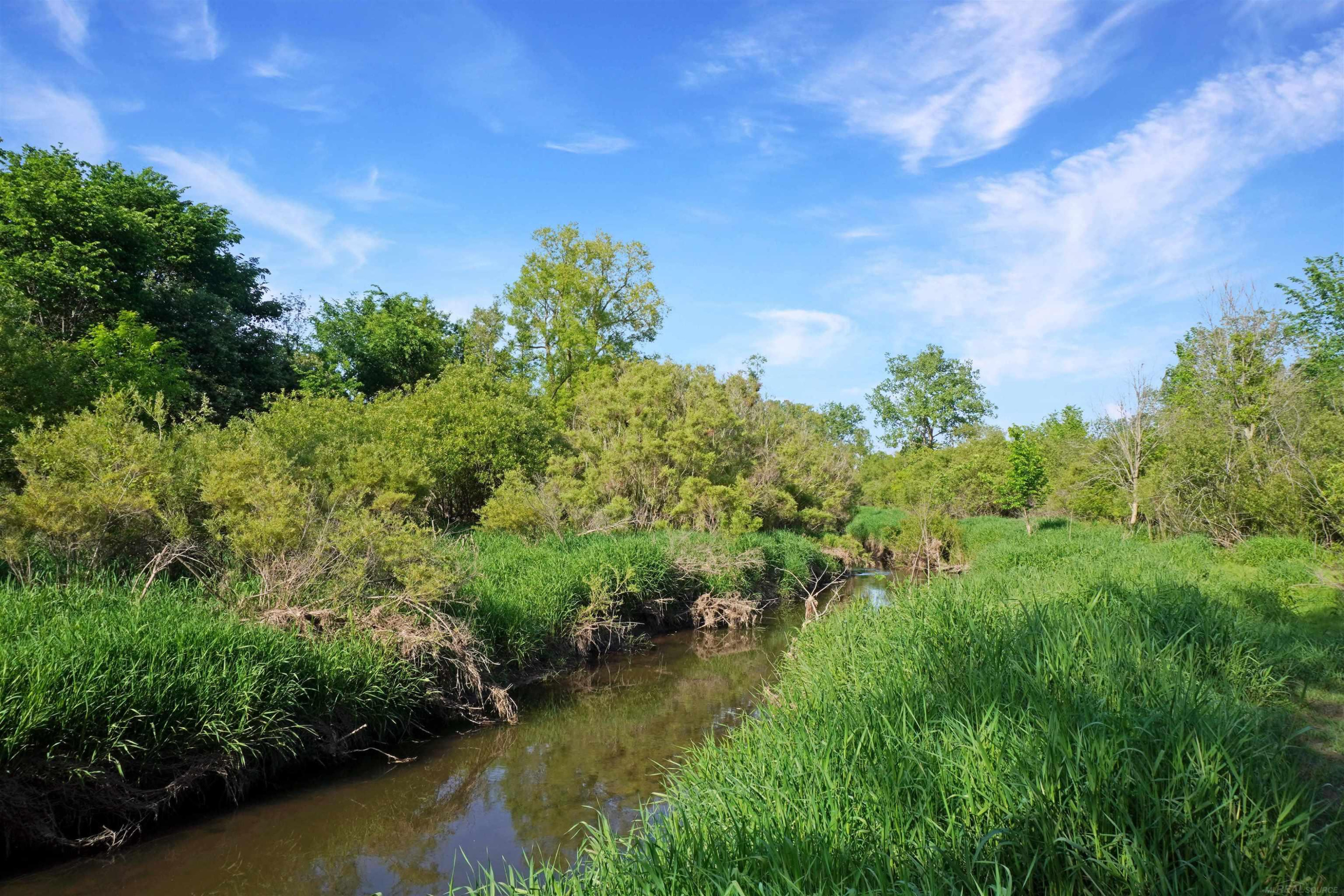 1385 N Blacks Corners Road, Imlay City, MI 48444 — Photo 45