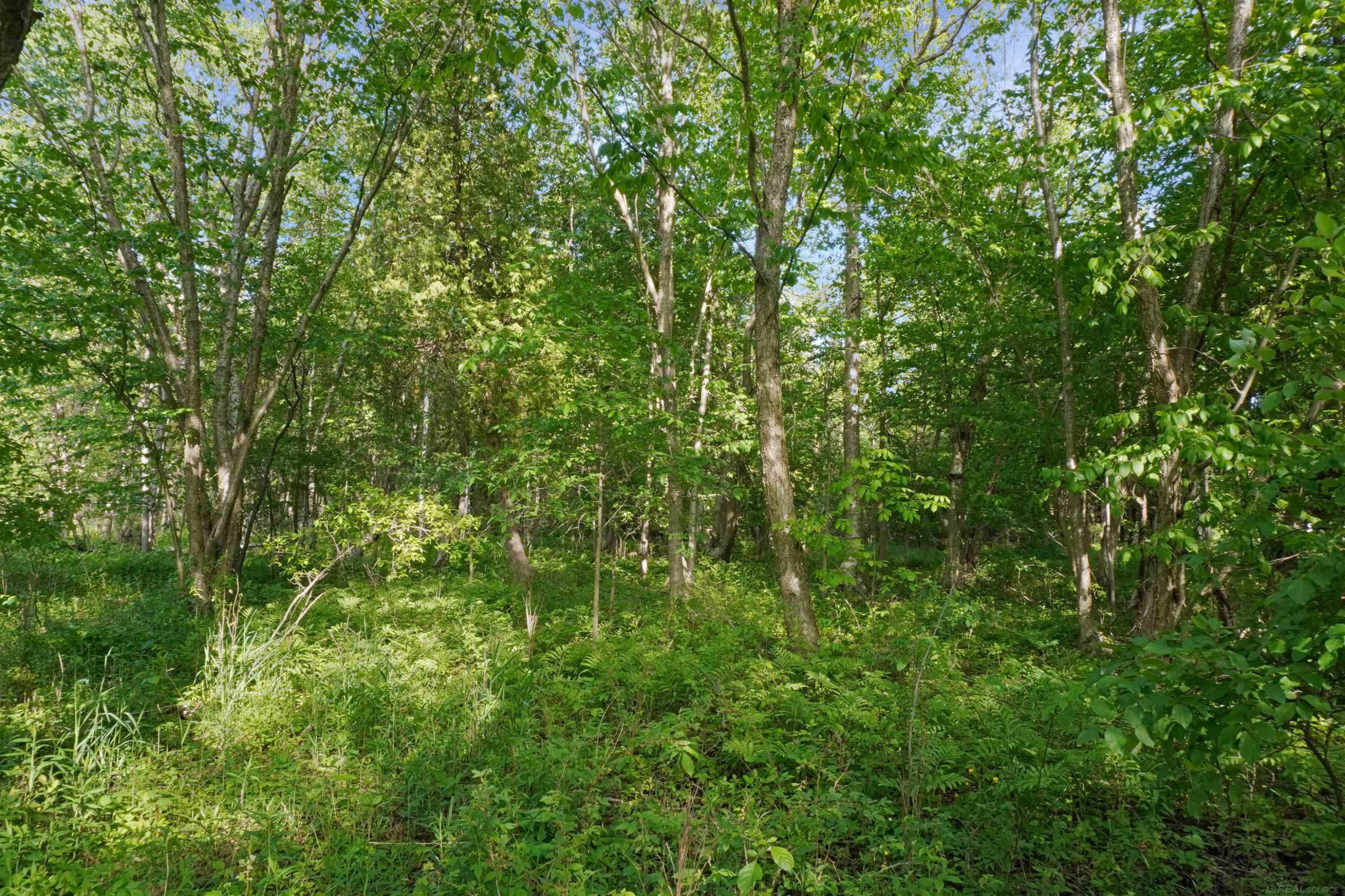 1385 N Blacks Corners Road, Imlay City, MI 48444 — Photo 48