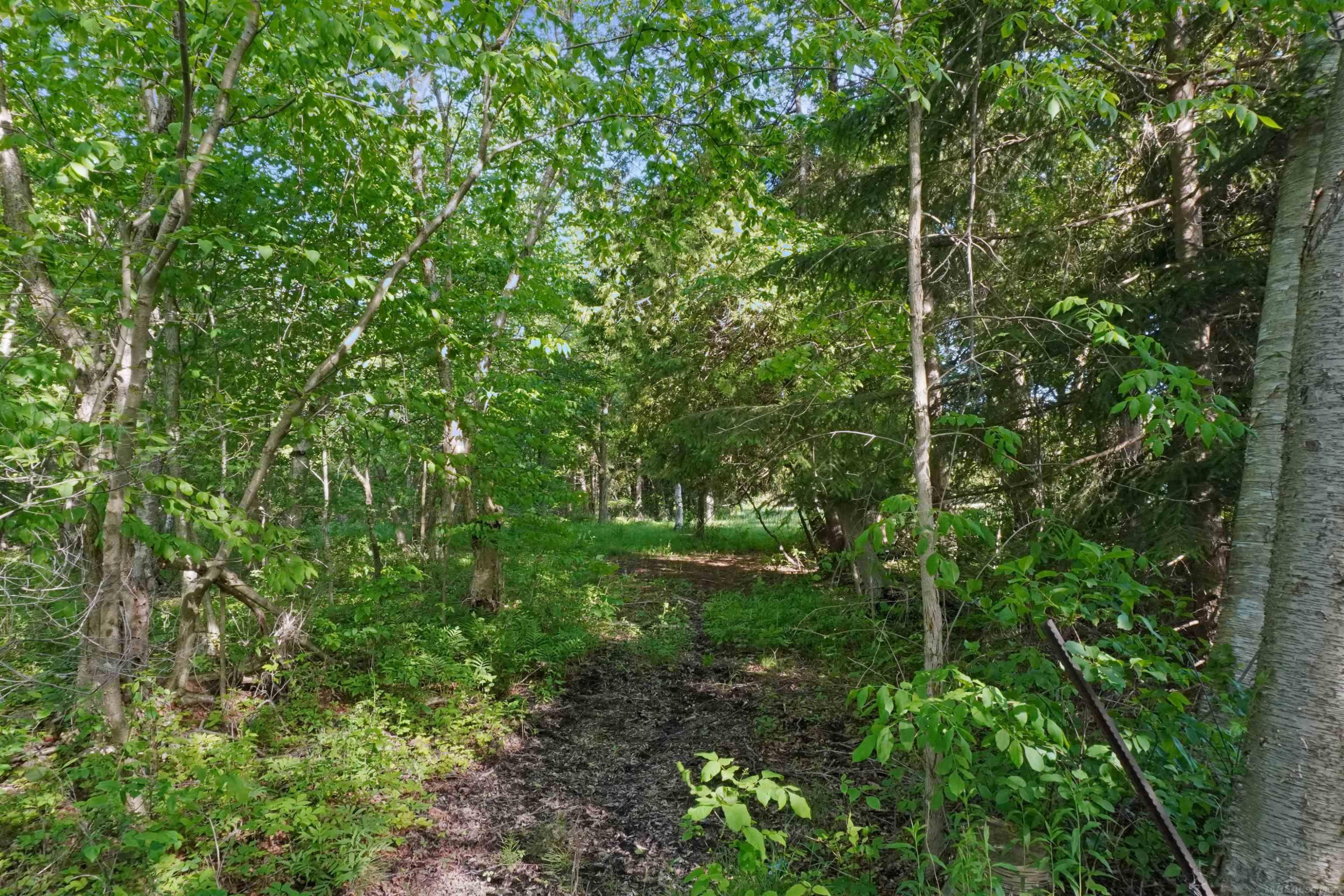 1385 N Blacks Corners Road, Imlay City, MI 48444 — Photo 49