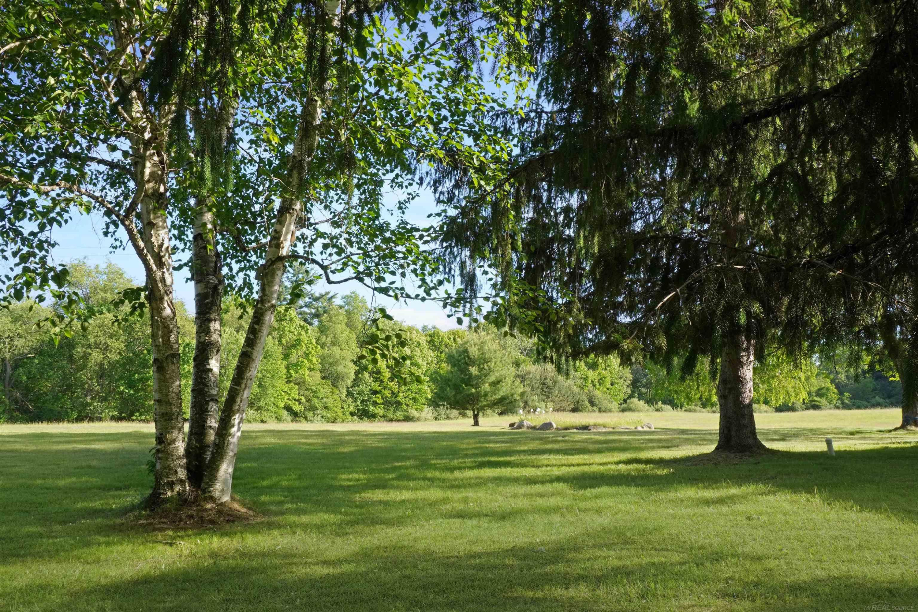 1385 N Blacks Corners Road, Imlay City, MI 48444 — Photo 50
