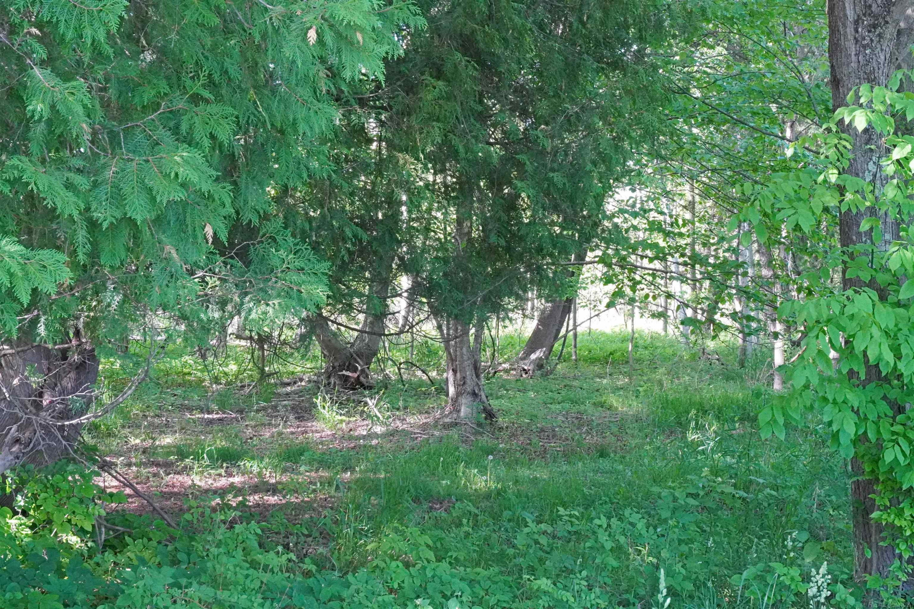 1385 N Blacks Corners Road, Imlay City, MI 48444 — Photo 51