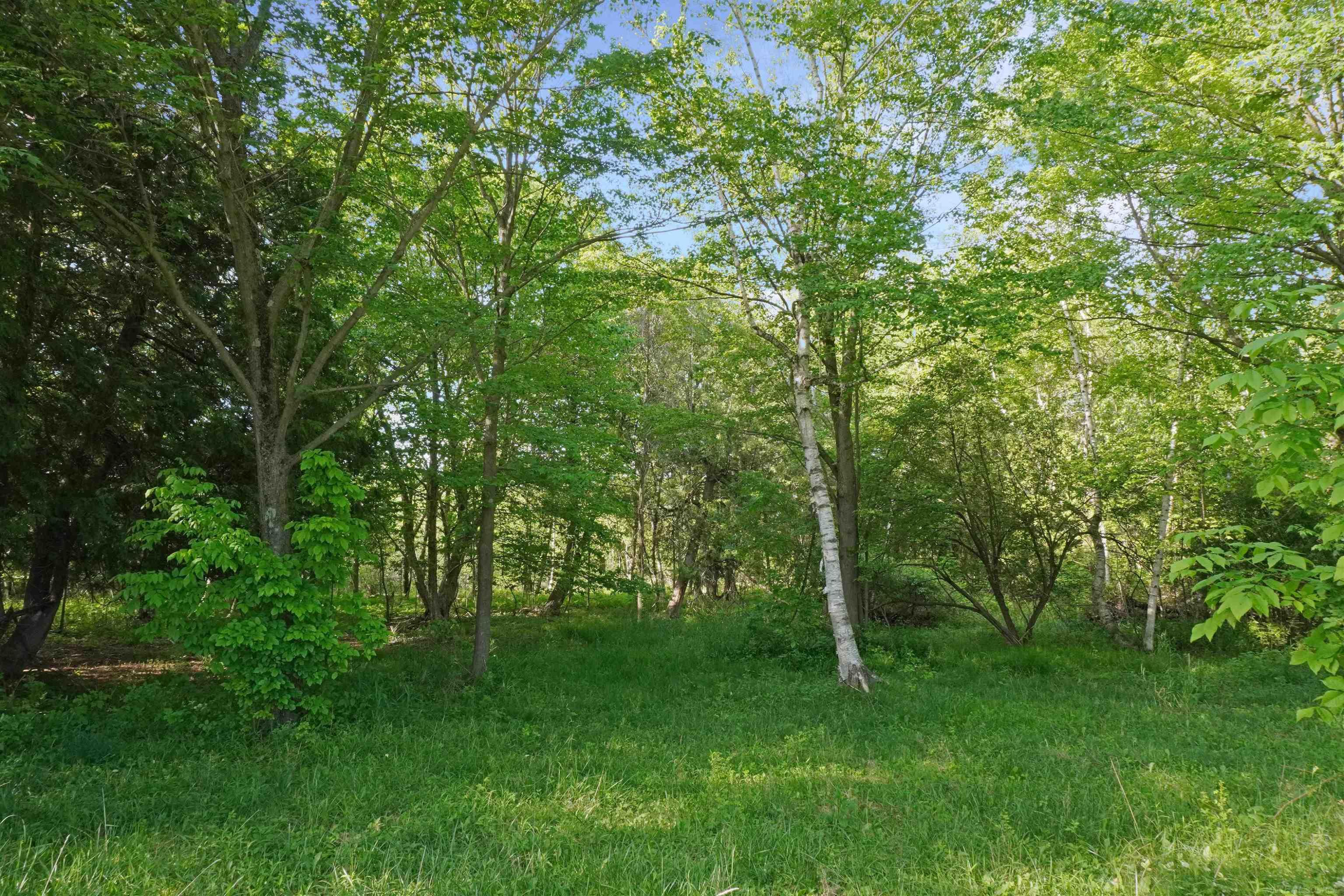 1385 N Blacks Corners Road, Imlay City, MI 48444 — Photo 52