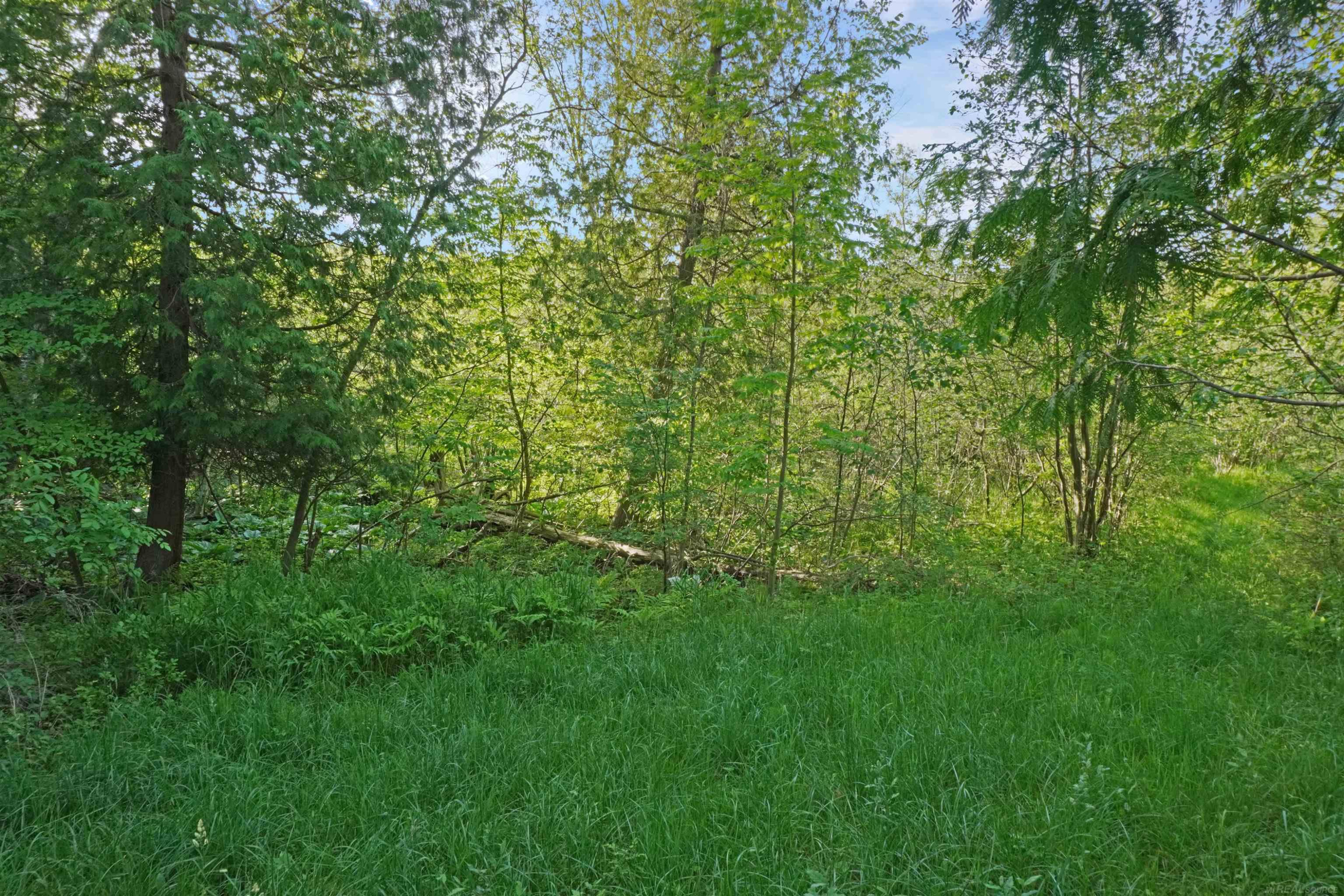 1385 N Blacks Corners Road, Imlay City, MI 48444 — Photo 53