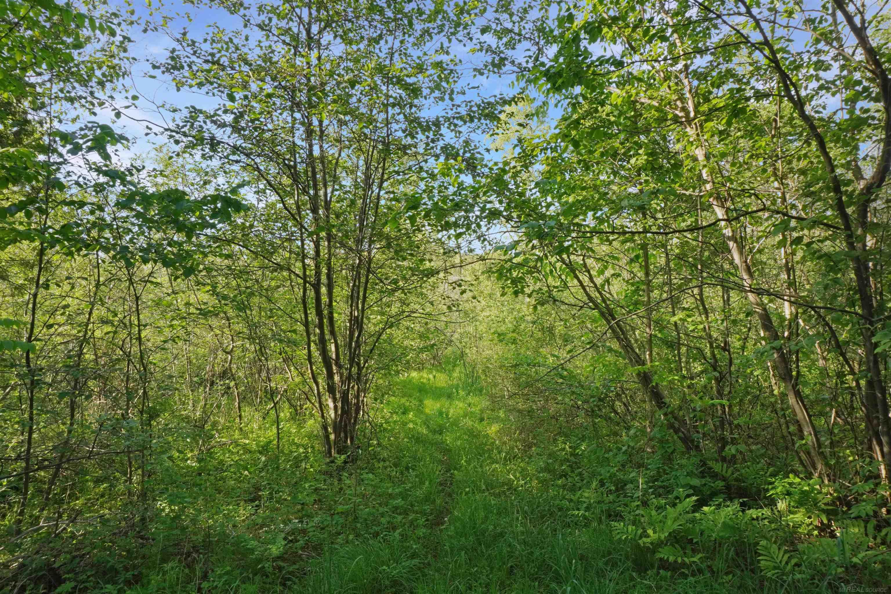 1385 N Blacks Corners Road, Imlay City, MI 48444 — Photo 54