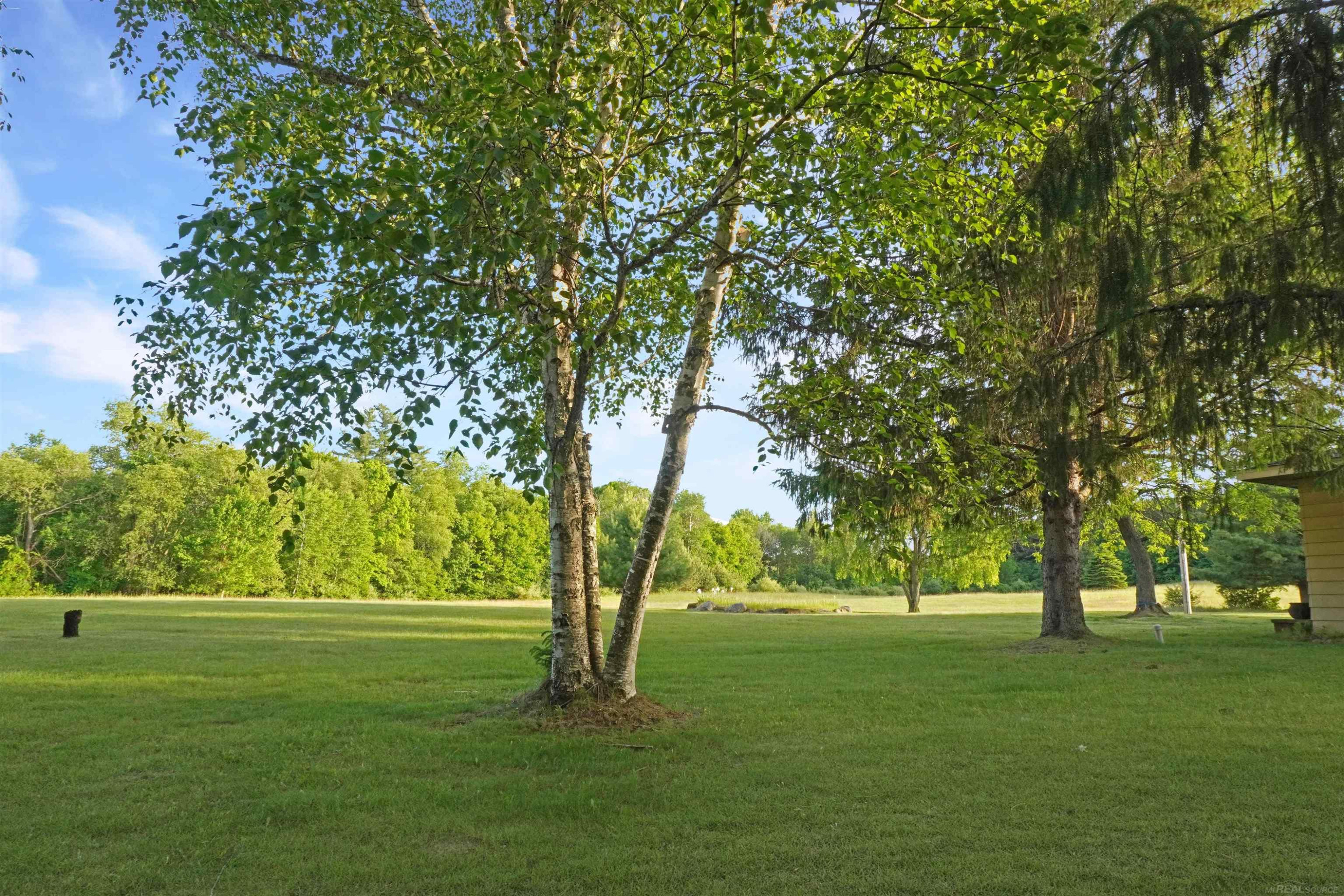 1385 N Blacks Corners Road, Imlay City, MI 48444 — Photo 55