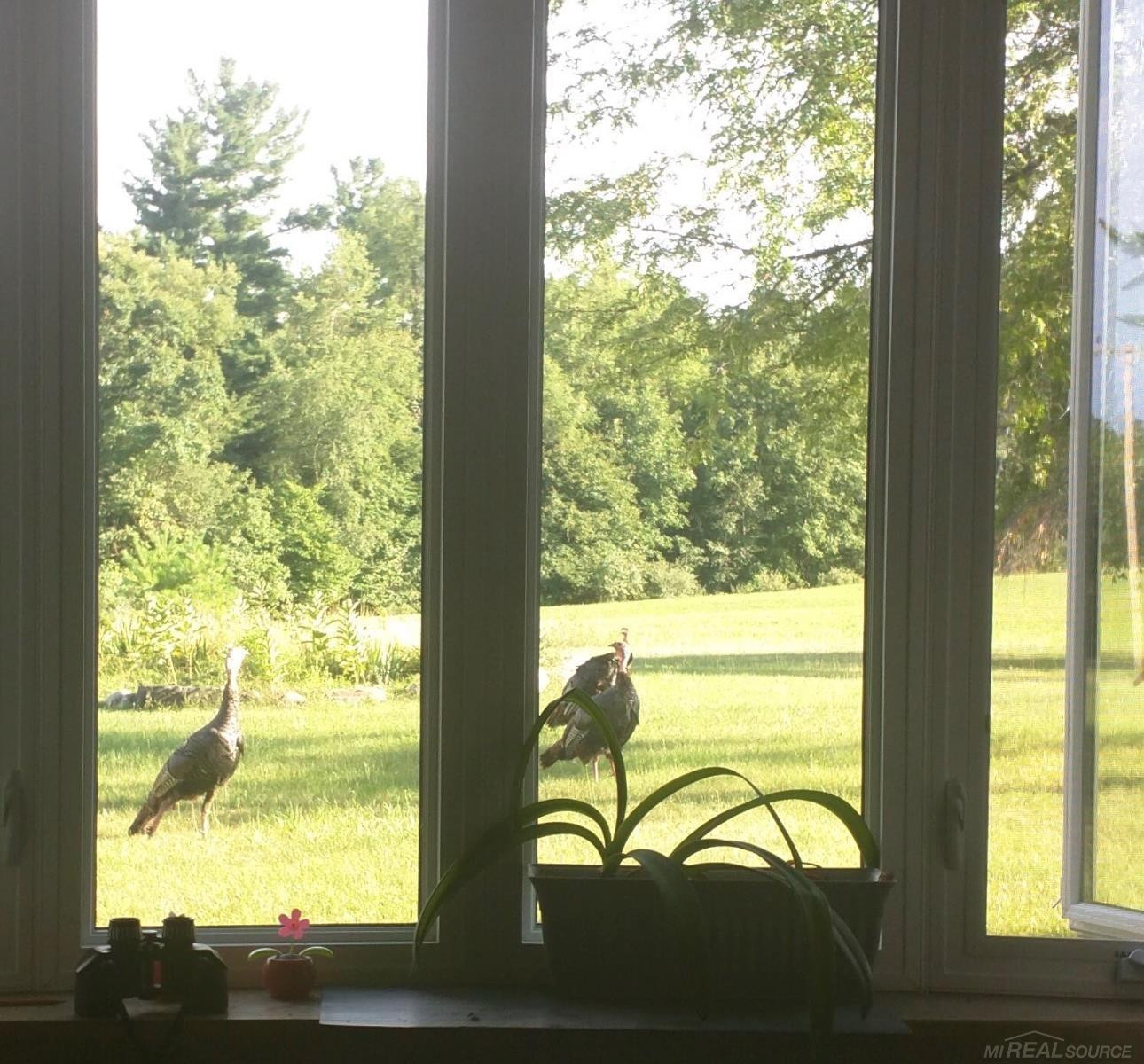 1385 N Blacks Corners Road, Imlay City, MI 48444 — Photo 60