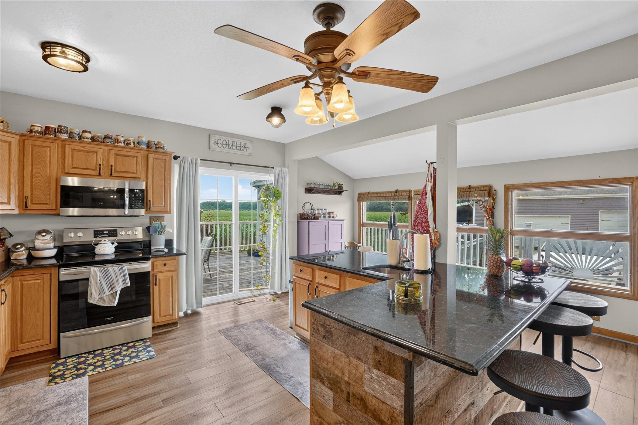 15151 Bishop Road, Chesaning, MI 48616 — Photo 15