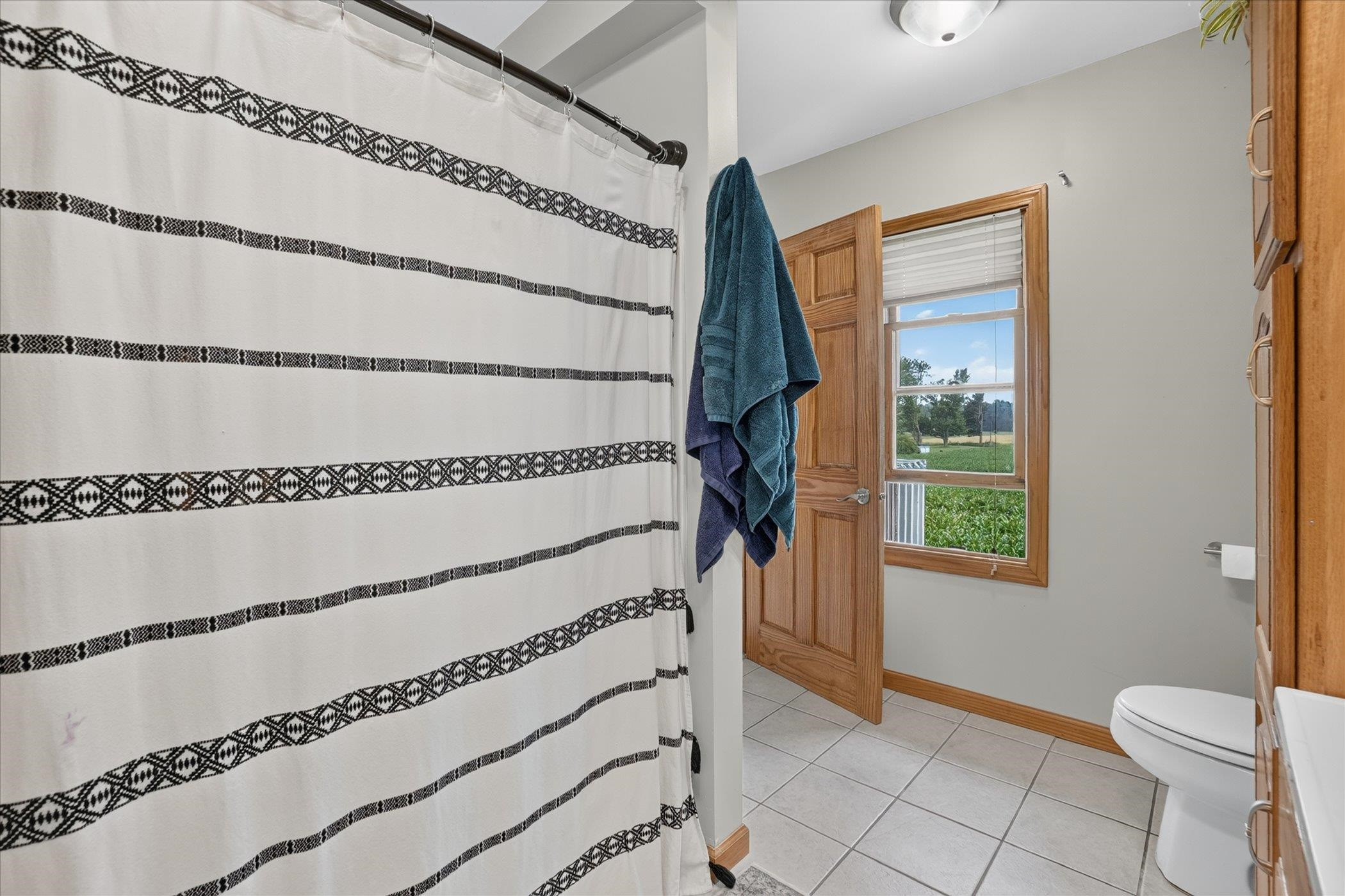 15151 Bishop Road, Chesaning, MI 48616 — Photo 30