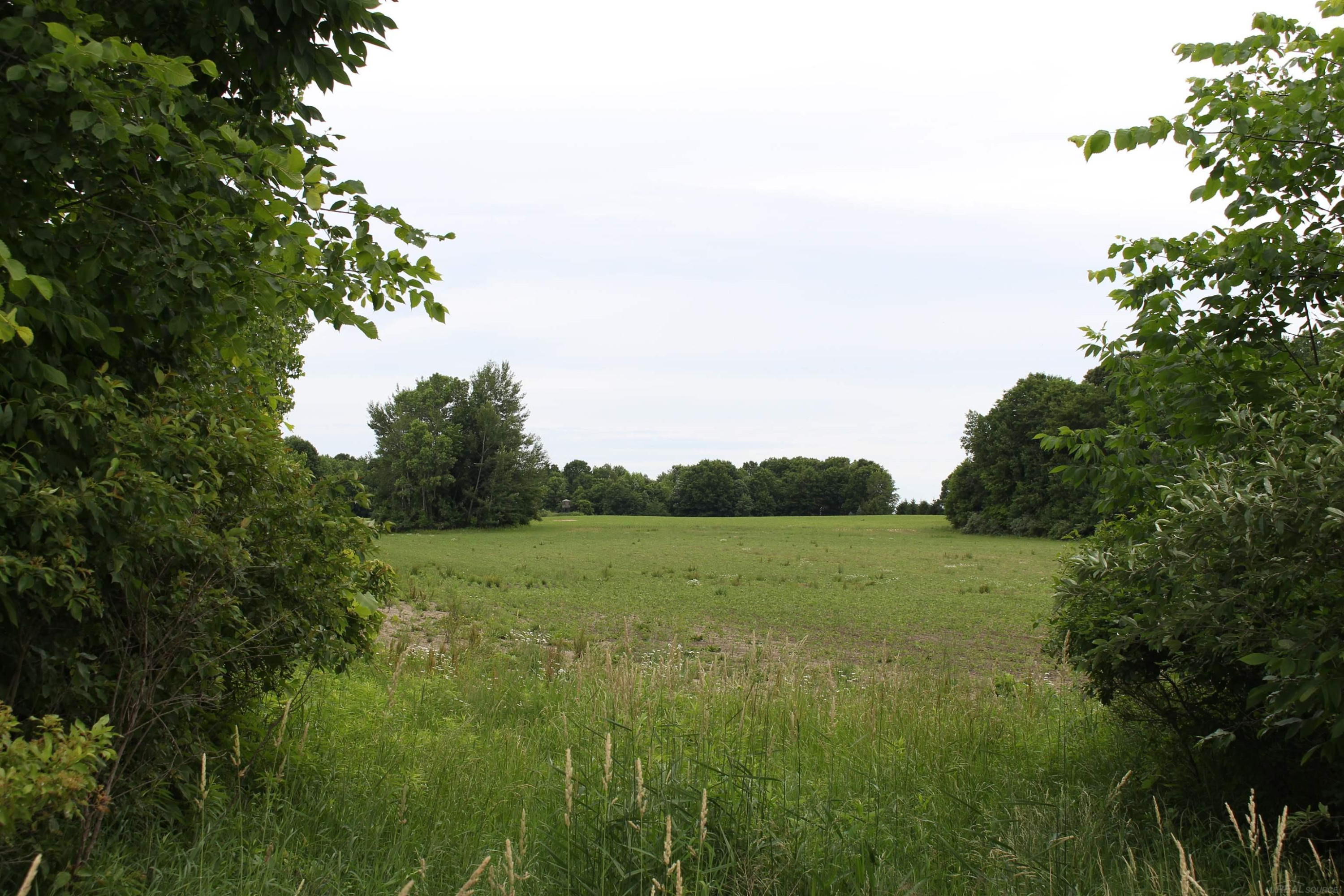 TBD Burnside Road, Otter Lake, MI 48464 — Photo 4