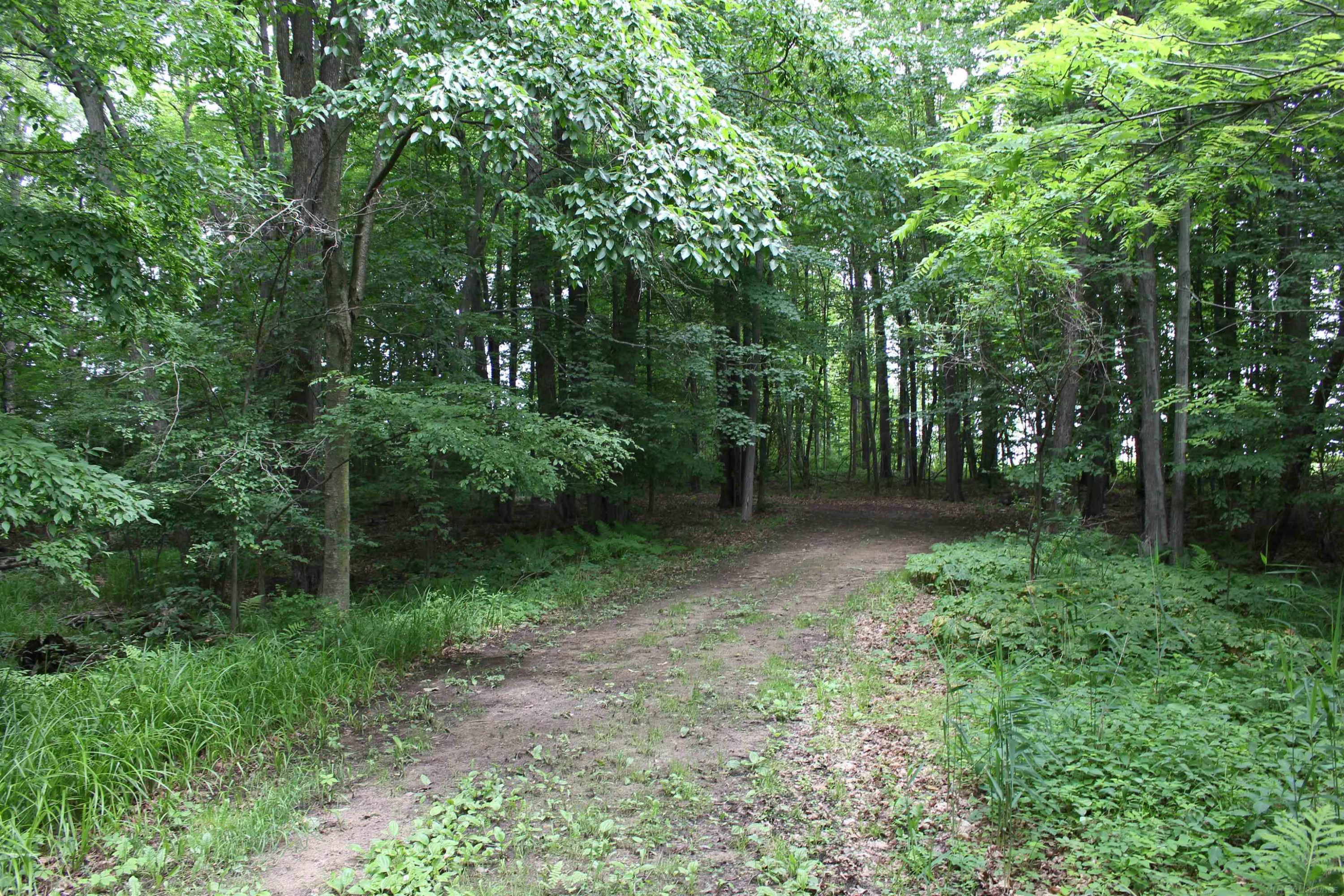 TBD Burnside Road, Otter Lake, MI 48464 — Photo 5
