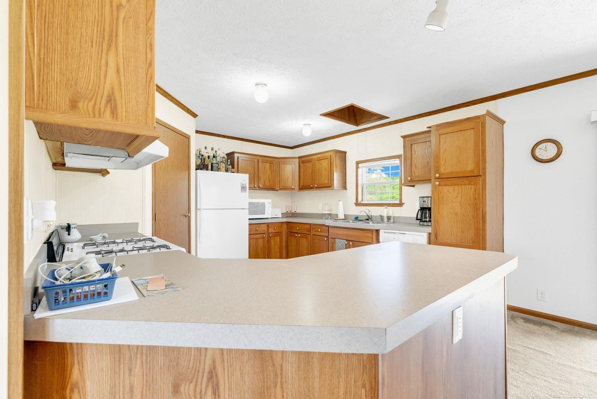6995 AItken Road, Lexington, MI 48450 — Photo 7