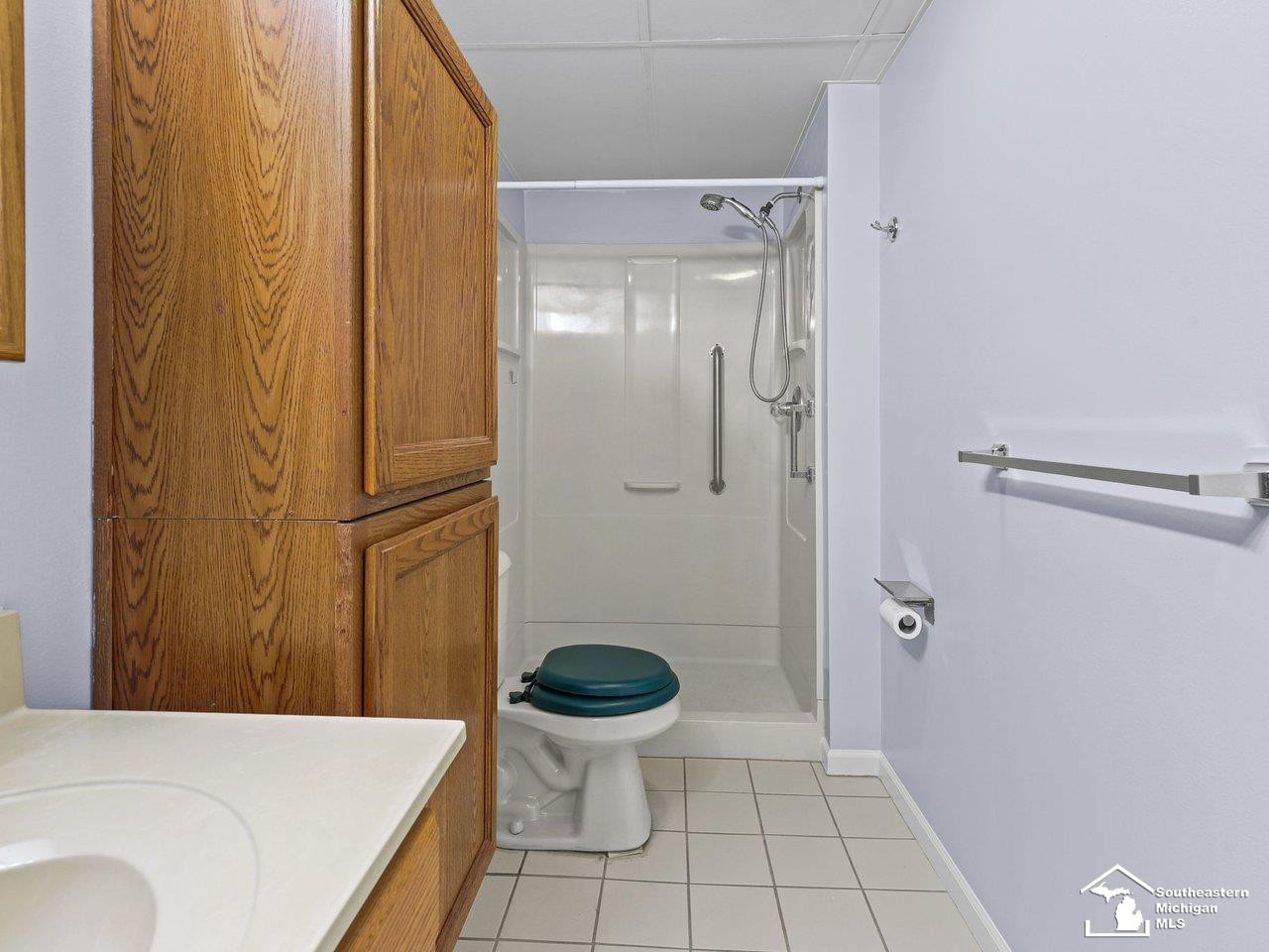 729 Clark Street, 18, Tecumseh, MI 49286 — Photo 34