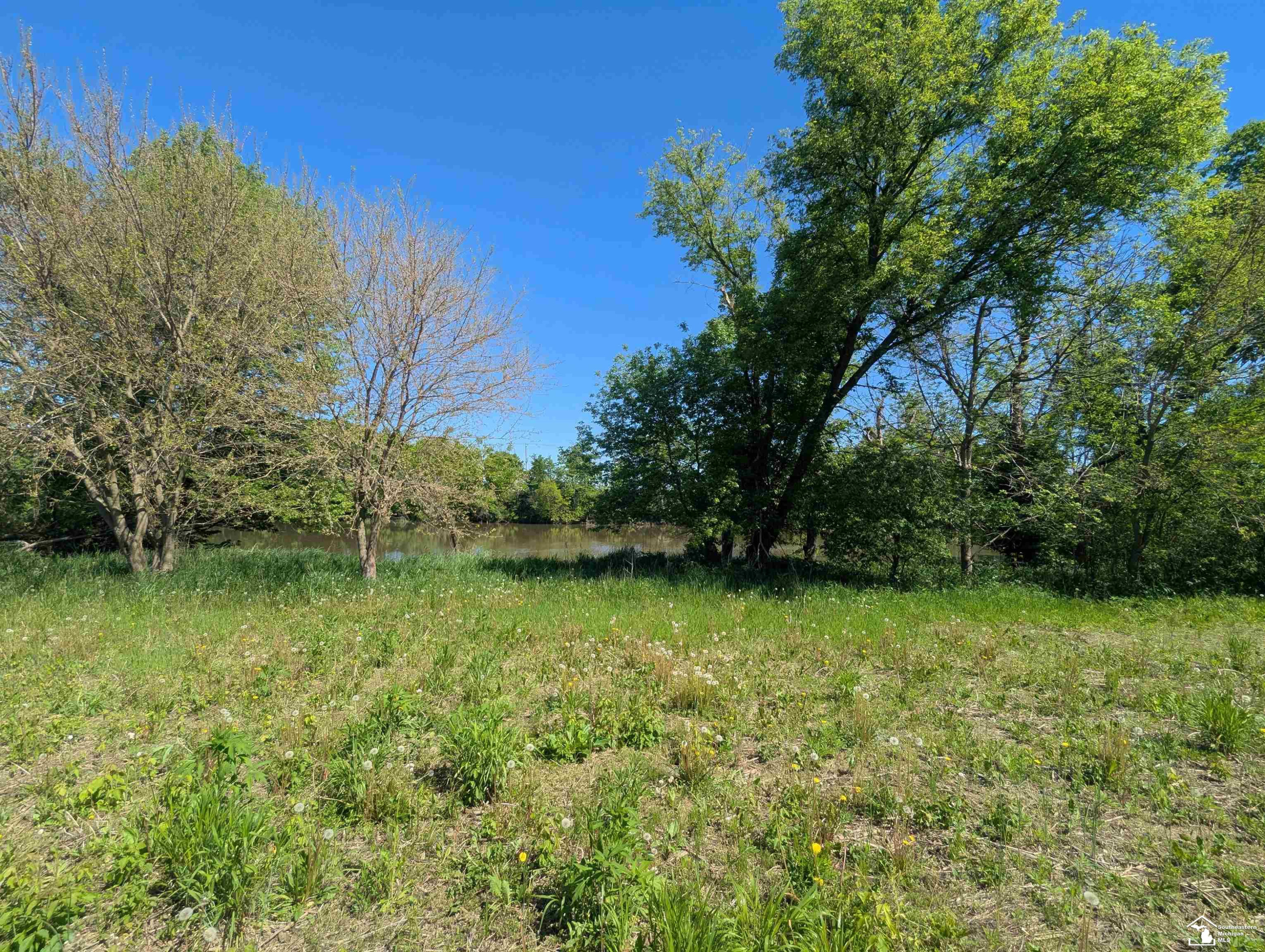0 Dixon Road, Monroe, MI 48161 — Photo 3