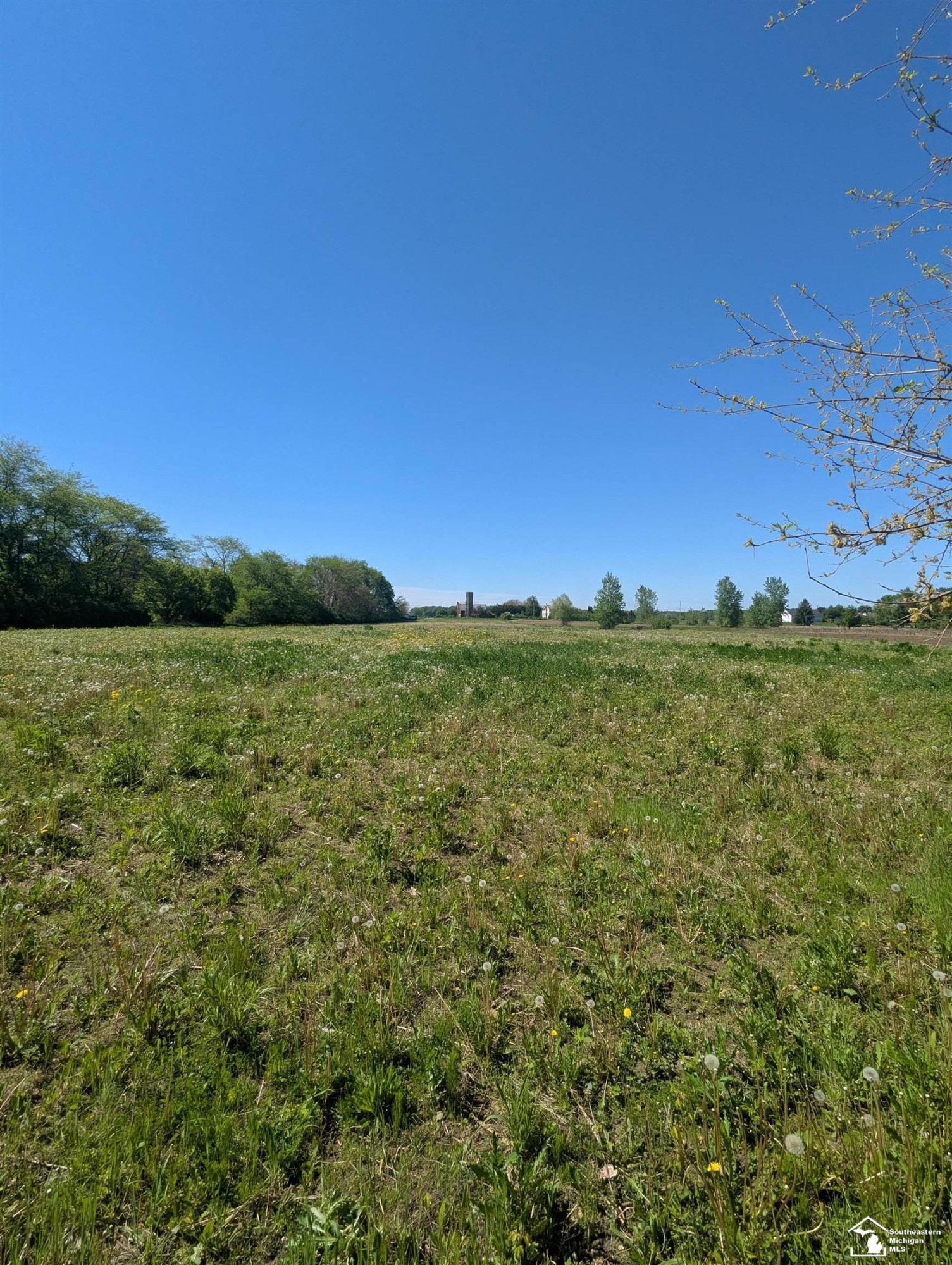 0 Dixon Road, Monroe, MI 48161 — Photo 5