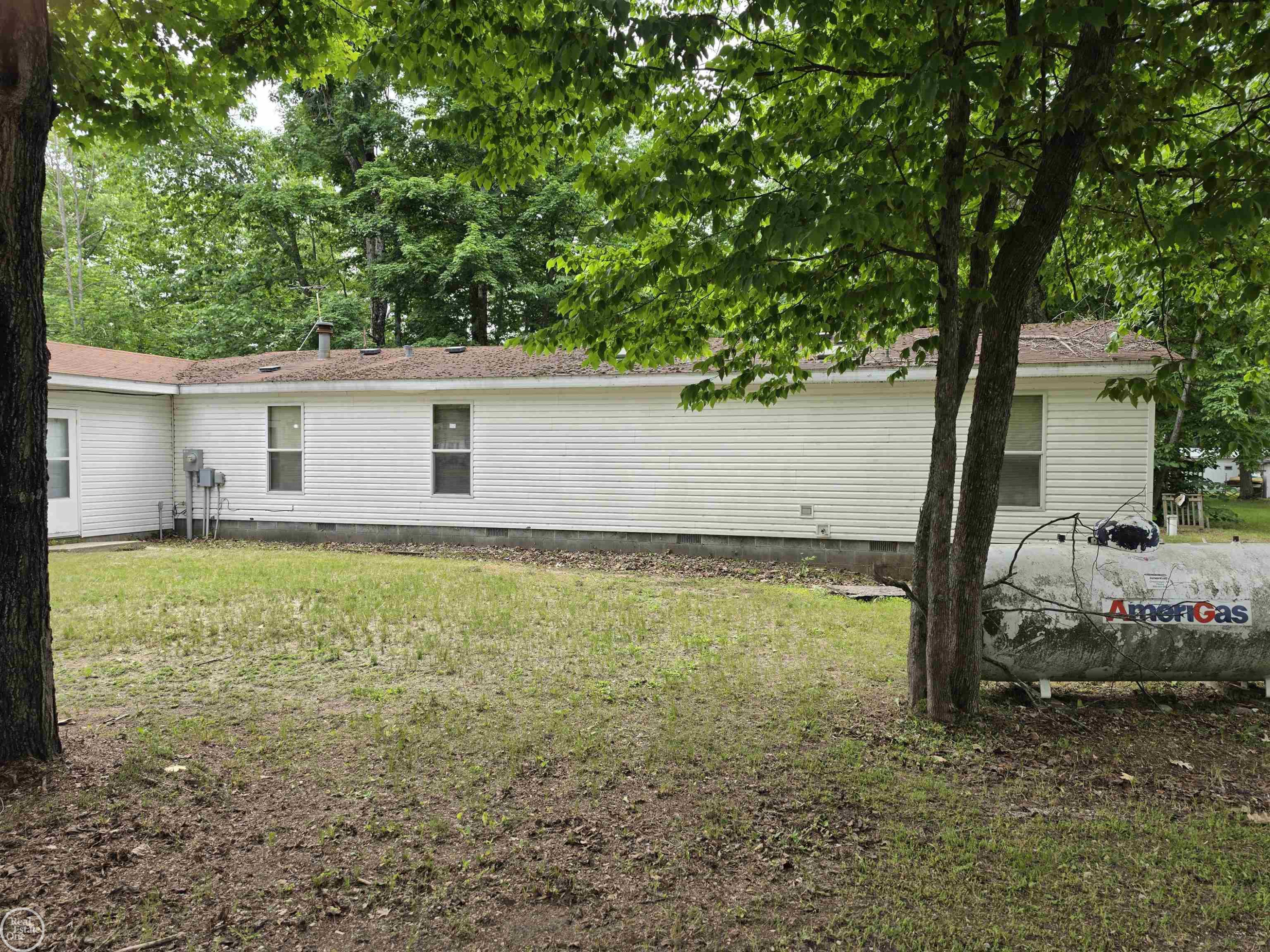 10231 LINDEN Avenue, Carp Lake, MI 49718 — Photo 6