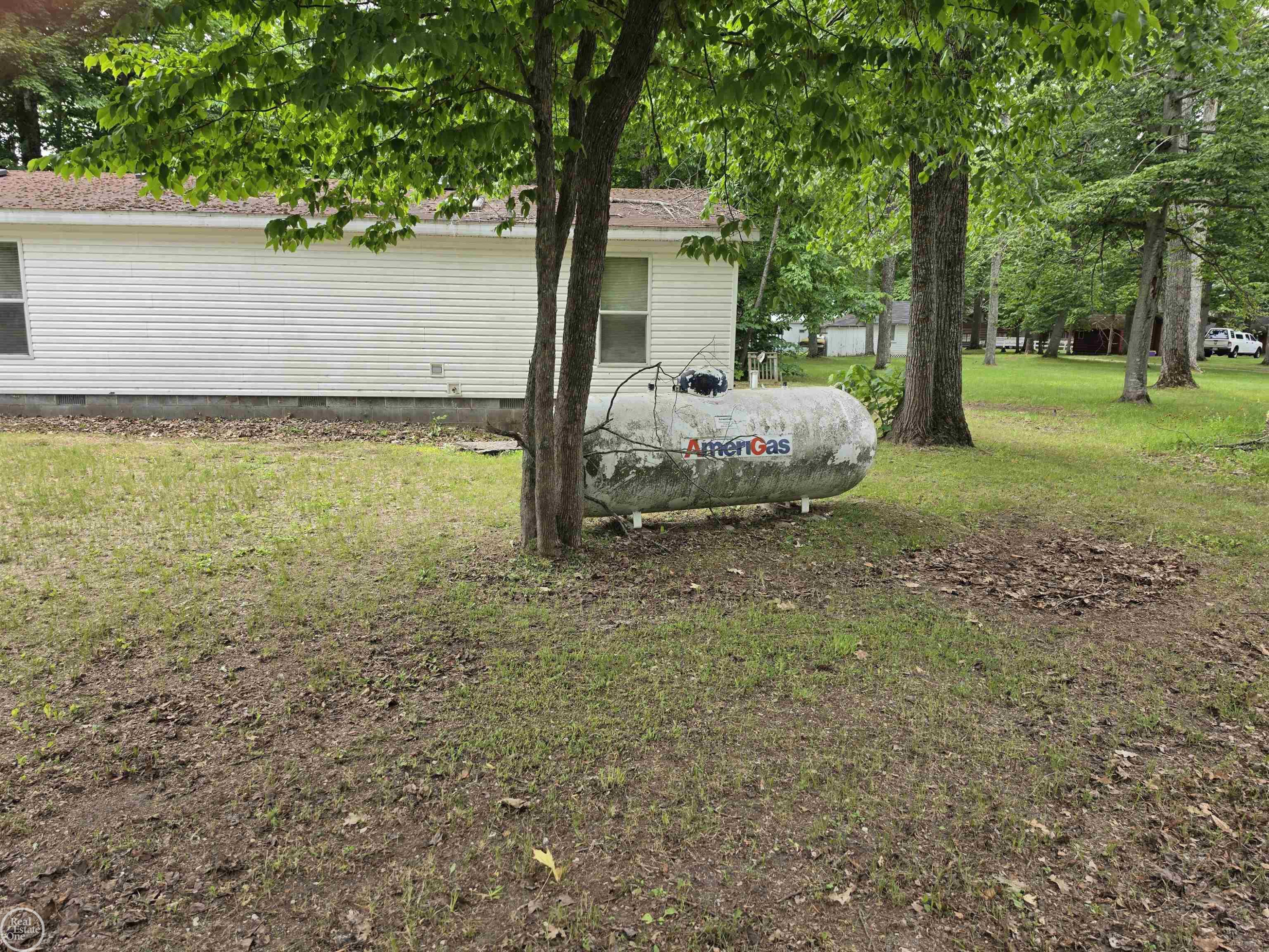 10231 LINDEN Avenue, Carp Lake, MI 49718 — Photo 7