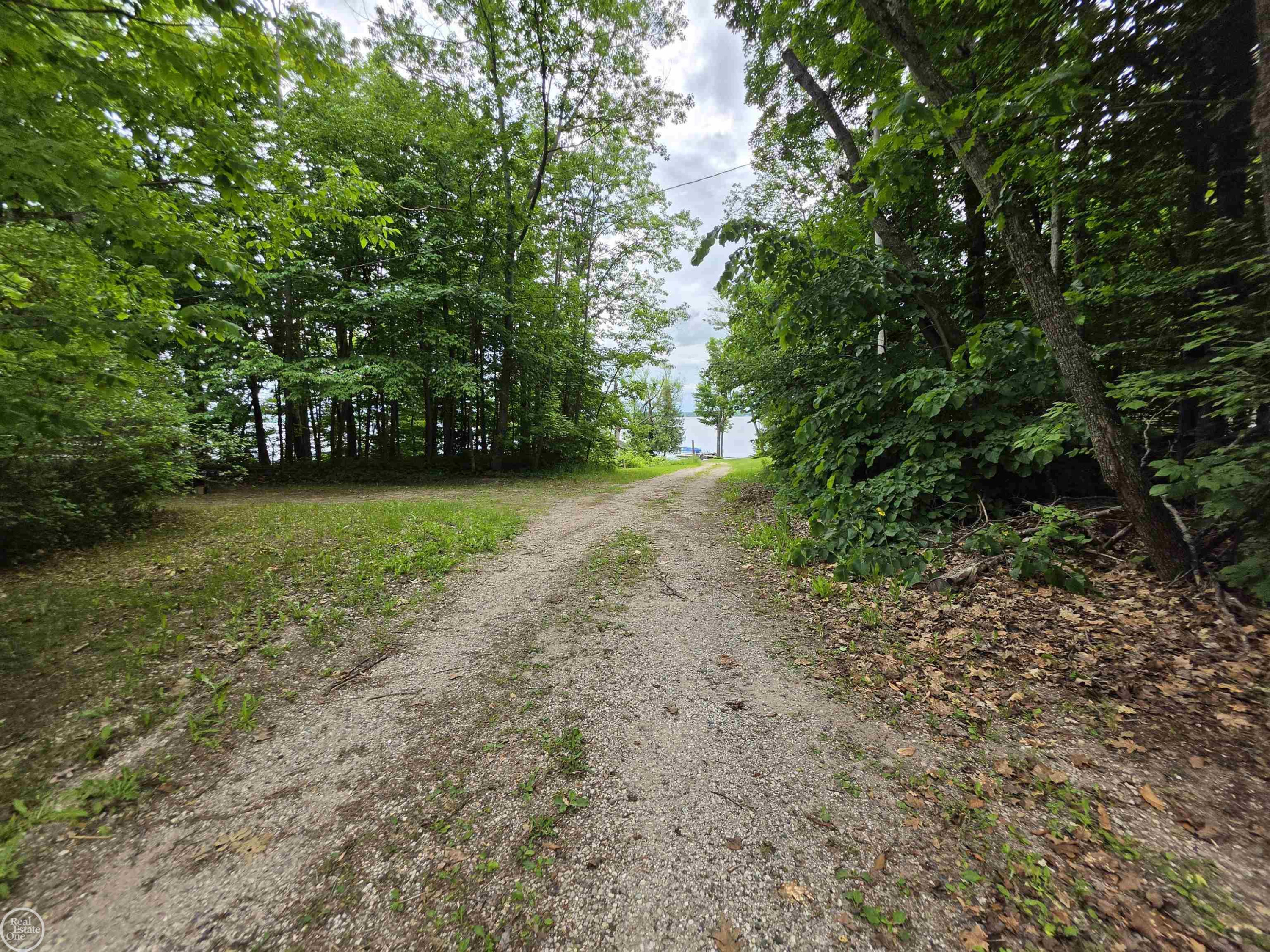10231 LINDEN Avenue, Carp Lake, MI 49718 — Photo 36