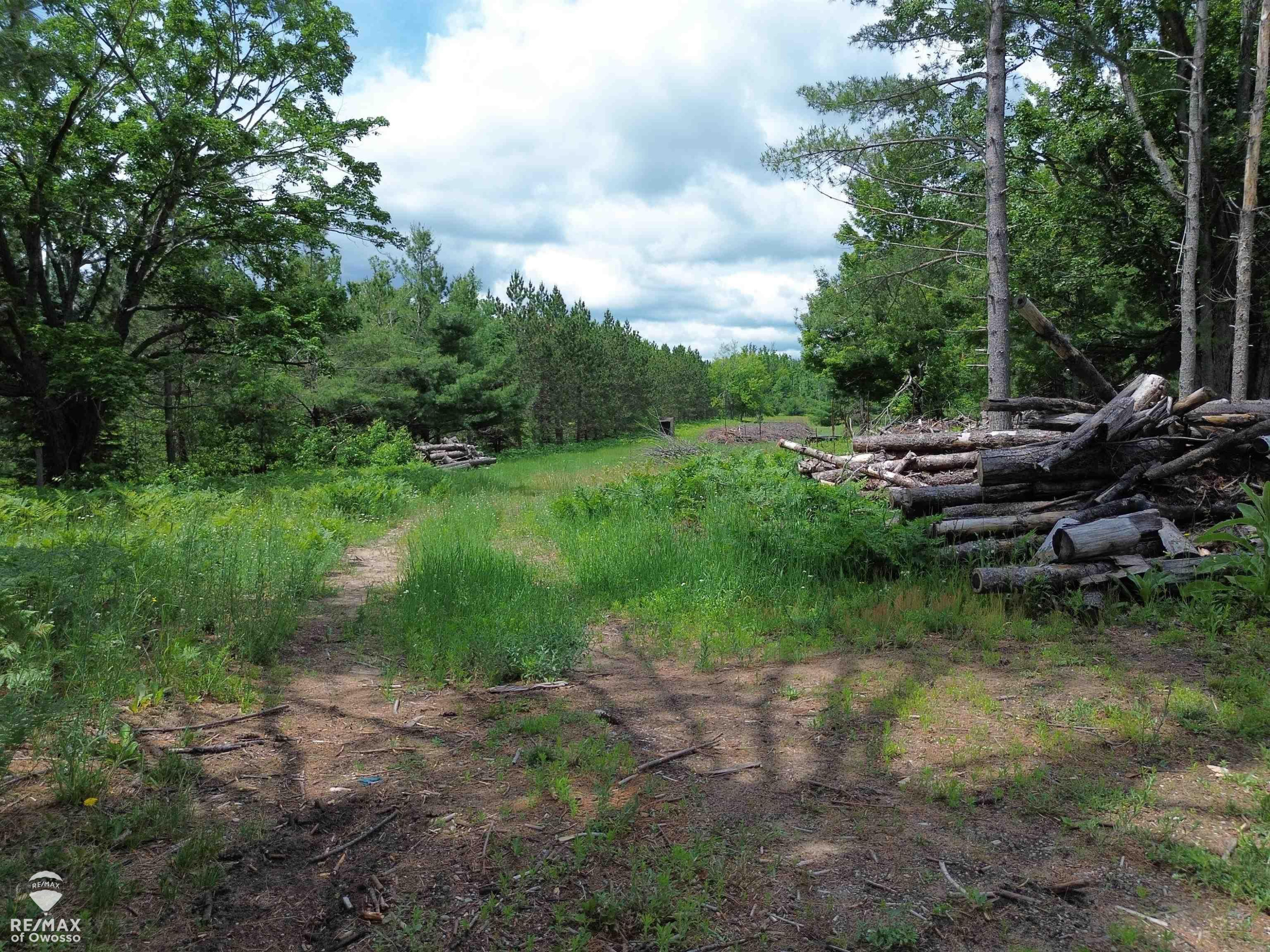 6800 Birch Valley Trail, Vanderbilt, MI 49795 — Photo 35
