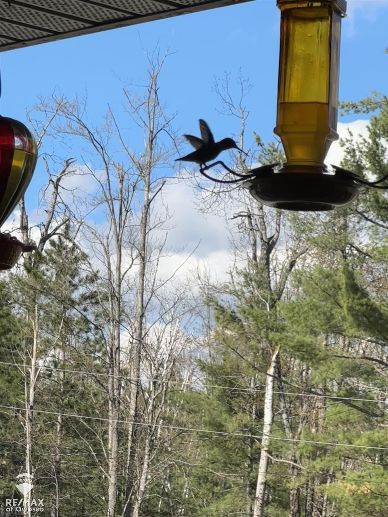6800 Birch Valley Trail, Vanderbilt, MI 49795 — Photo 38
