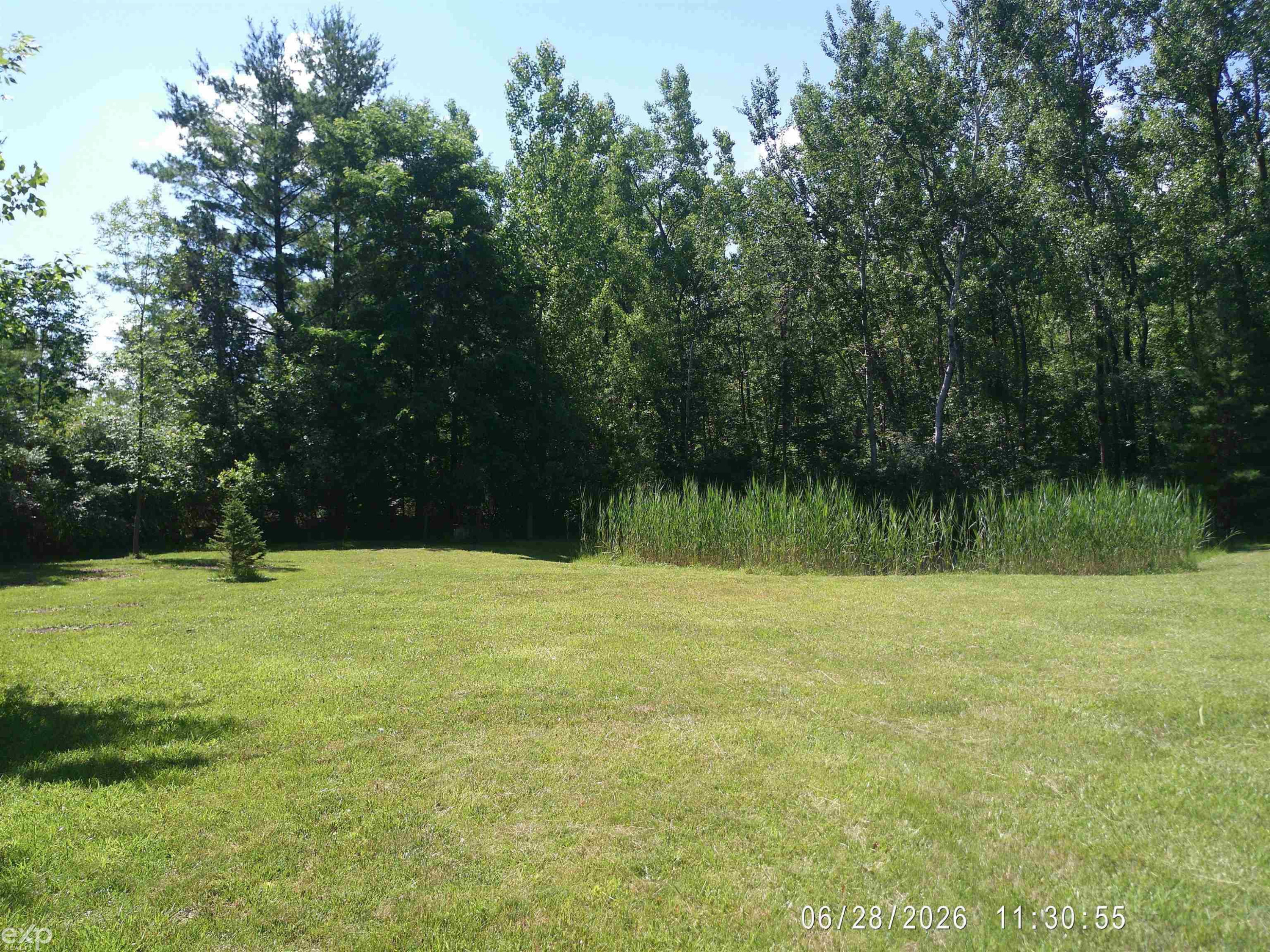 4707 Dixon Road, Caro, MI 48723 — Photo 19