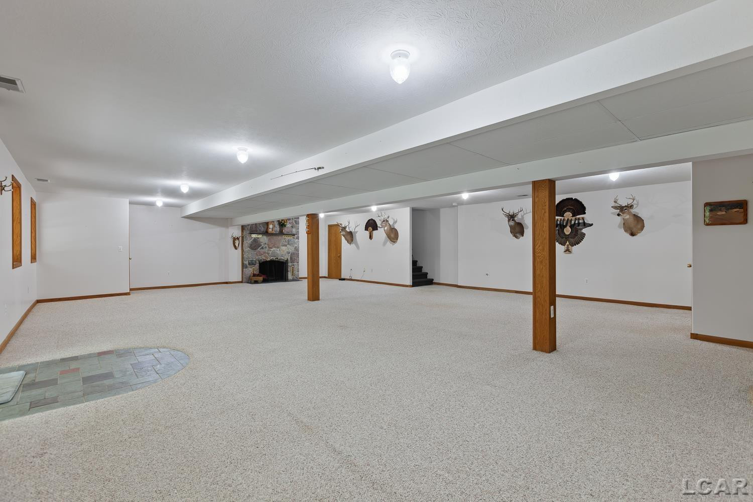 2010 S Kane Road, Stockbridge, MI 49285 — Photo 35