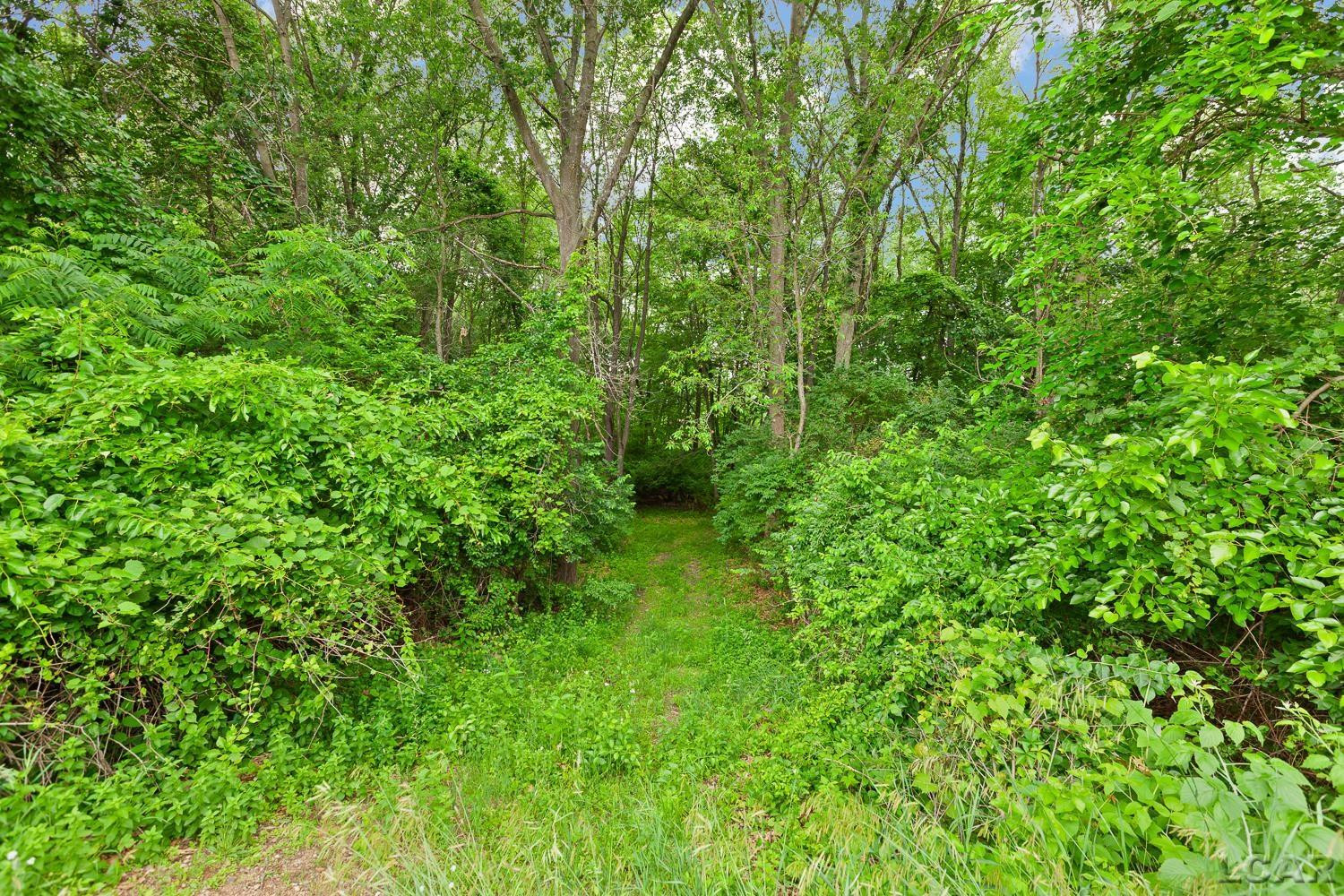 2010 S Kane Road, Stockbridge, MI 49285 — Photo 63