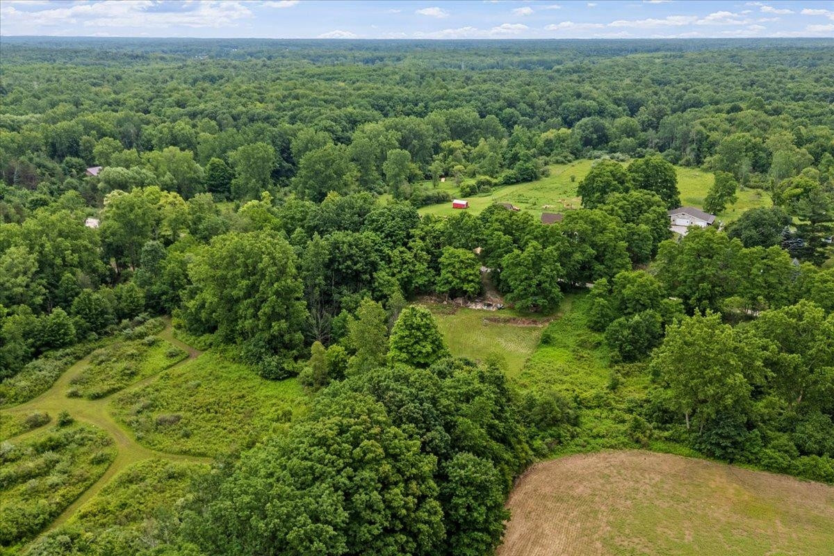 1187 Parks Road, Wales, MI — Photo 5