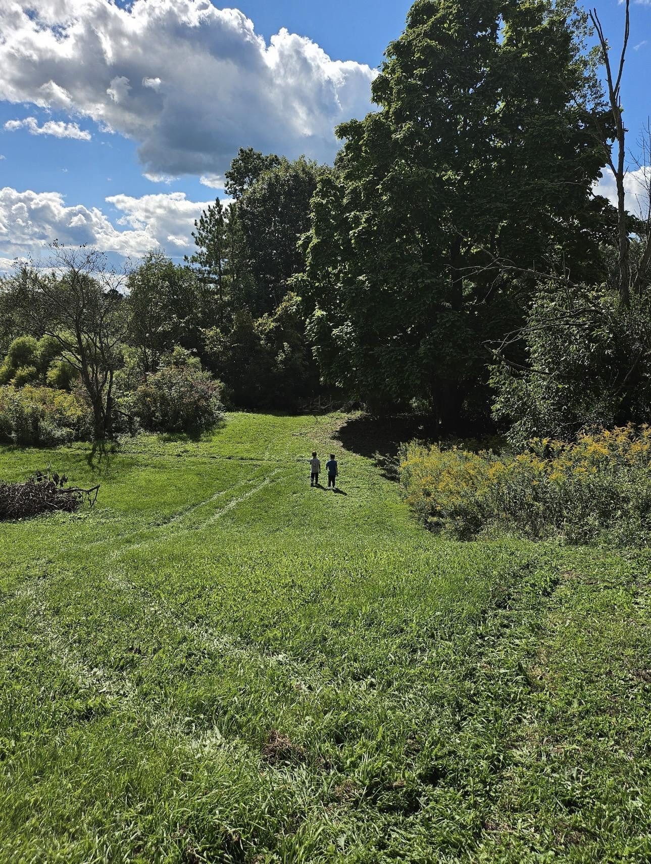 1187 Parks Road, Wales, MI — Photo 19