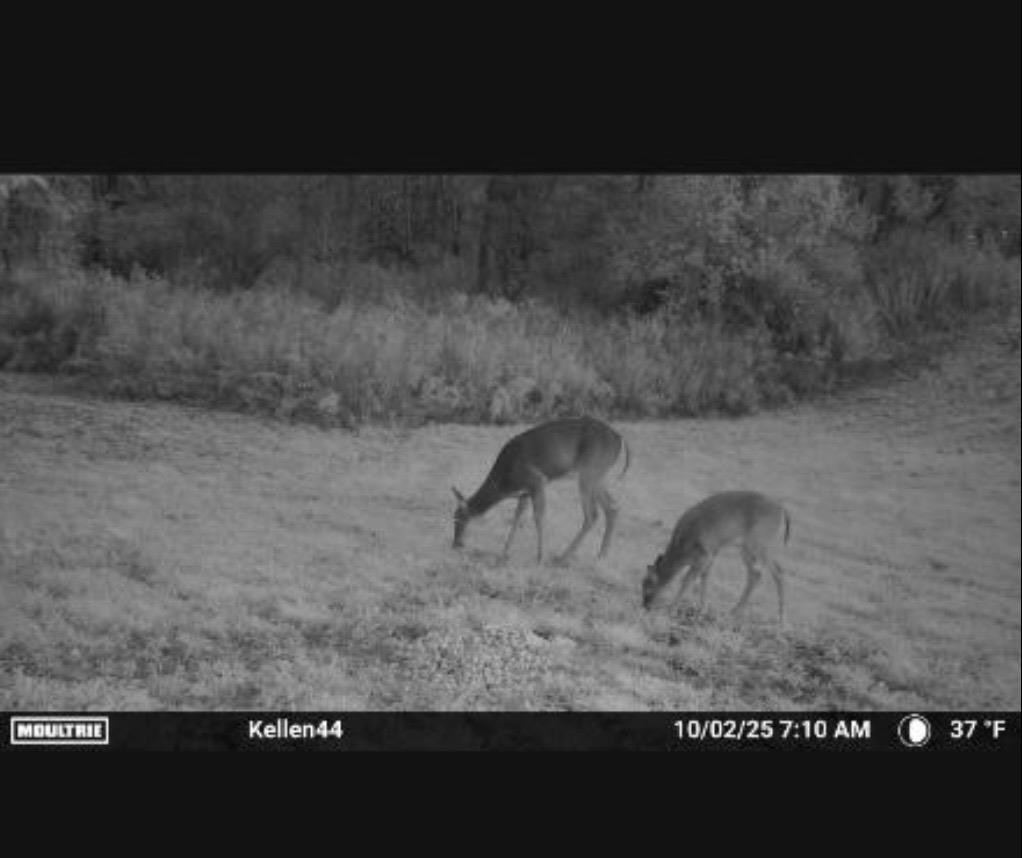 1187 Parks Road, Wales, MI — Photo 22