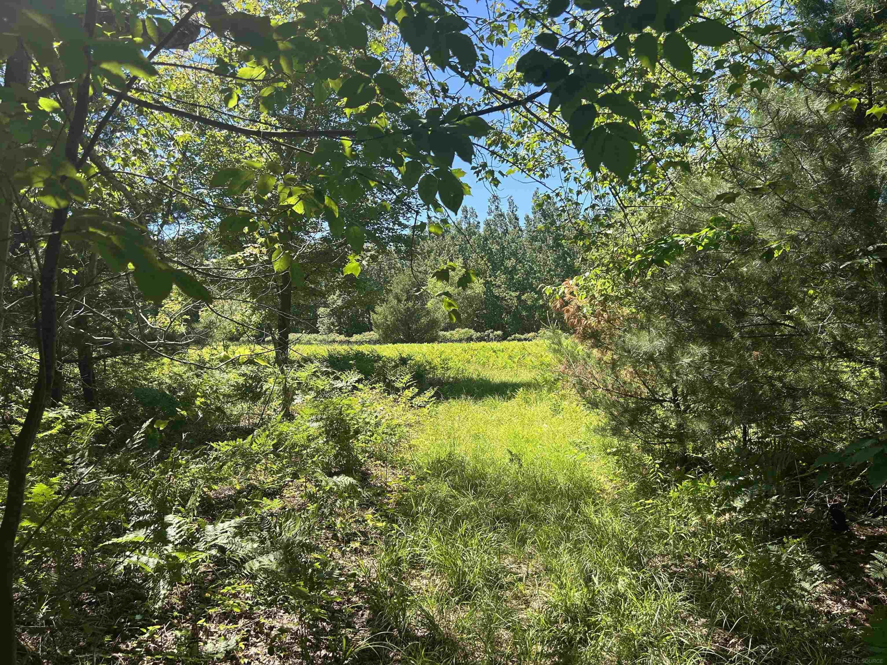 2263 Elder Road, Carp Lake, MI 49718 — Photo 37