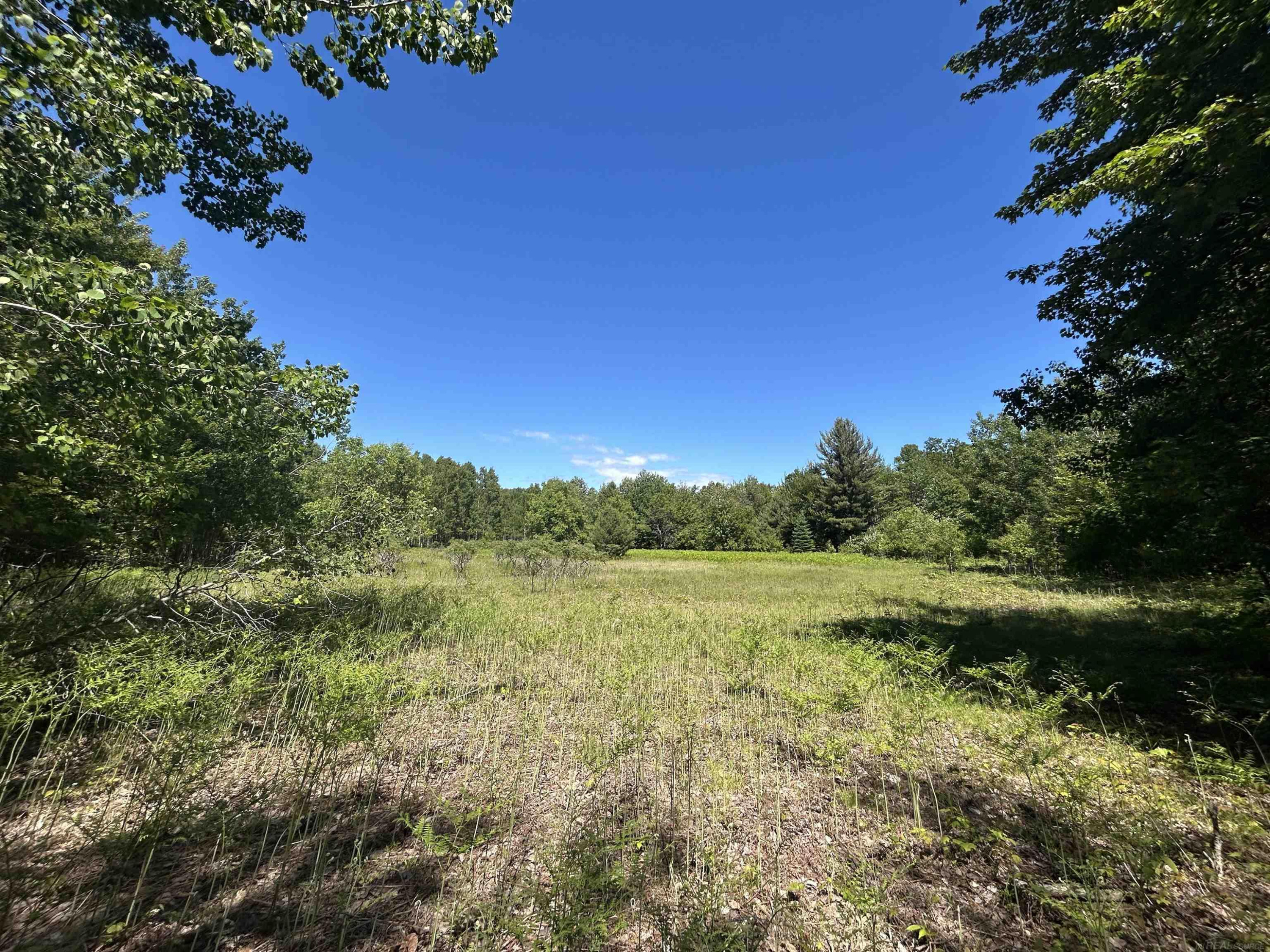2263 Elder Road, Carp Lake, MI 49718 — Photo 40