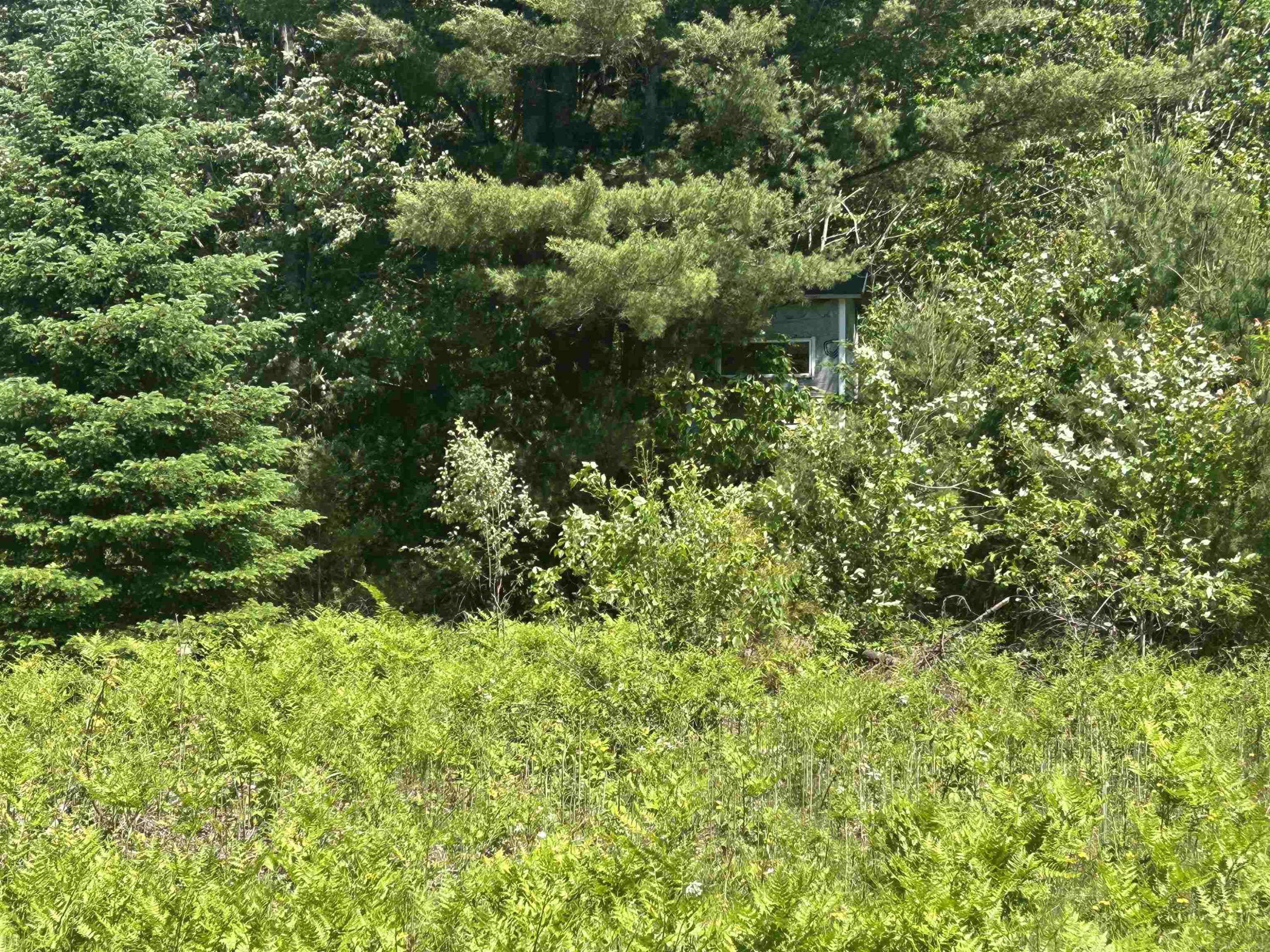 2263 Elder Road, Carp Lake, MI 49718 — Photo 41