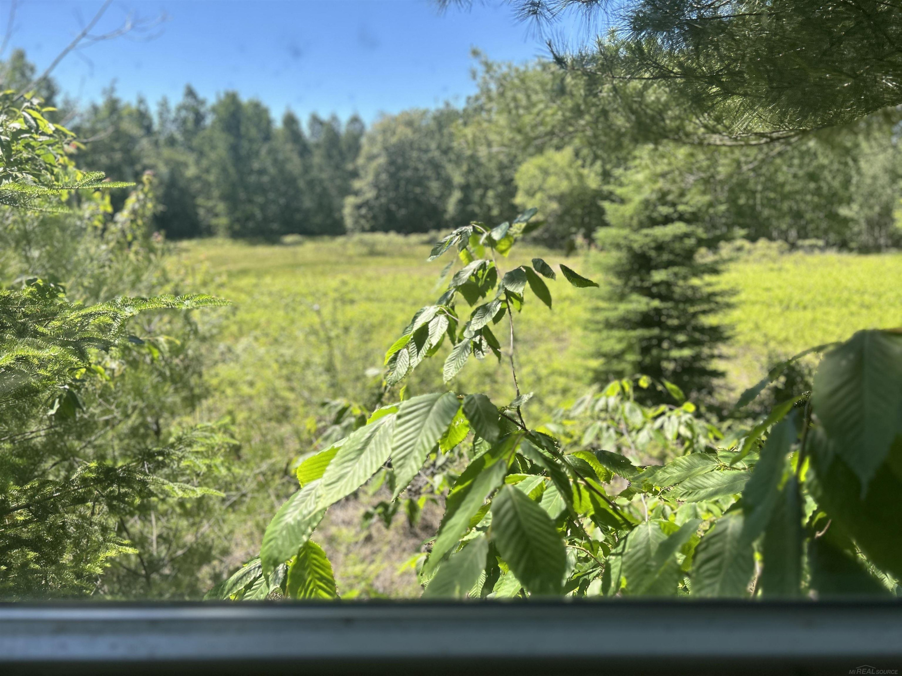 2263 Elder Road, Carp Lake, MI 49718 — Photo 42
