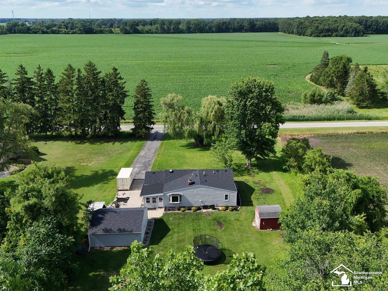 5353 School Road, Petersburg, MI 49270 — Photo 3