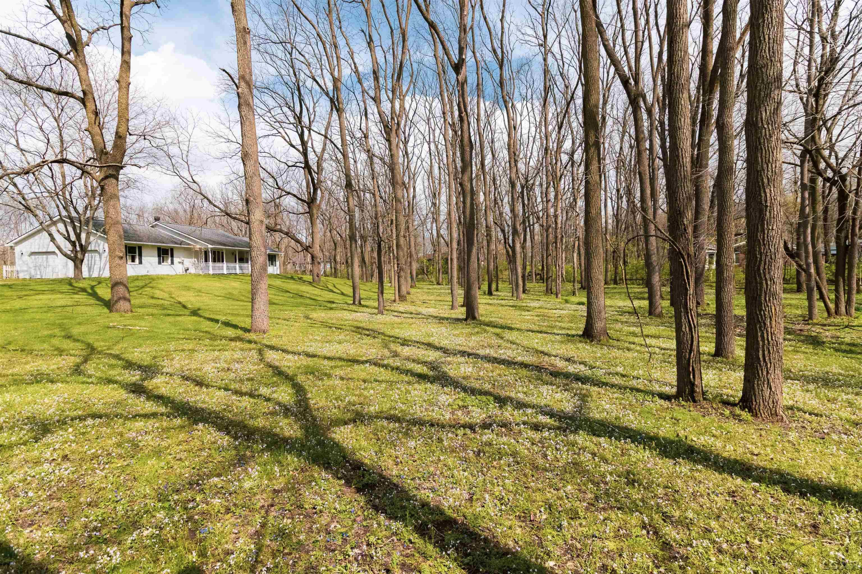 4272 Dillingham Drive, Tecumseh, MI 49286 — Photo 5