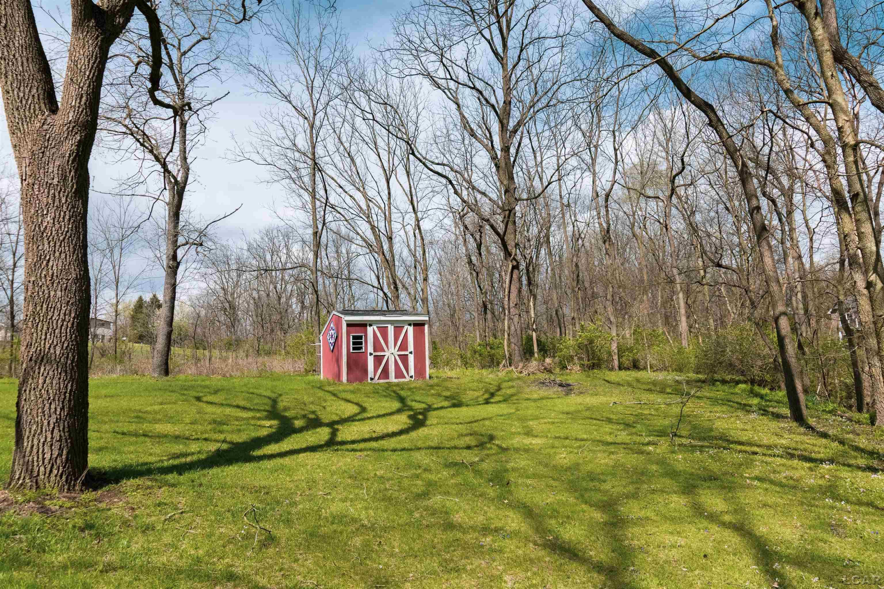 4272 Dillingham Drive, Tecumseh, MI 49286 — Photo 8